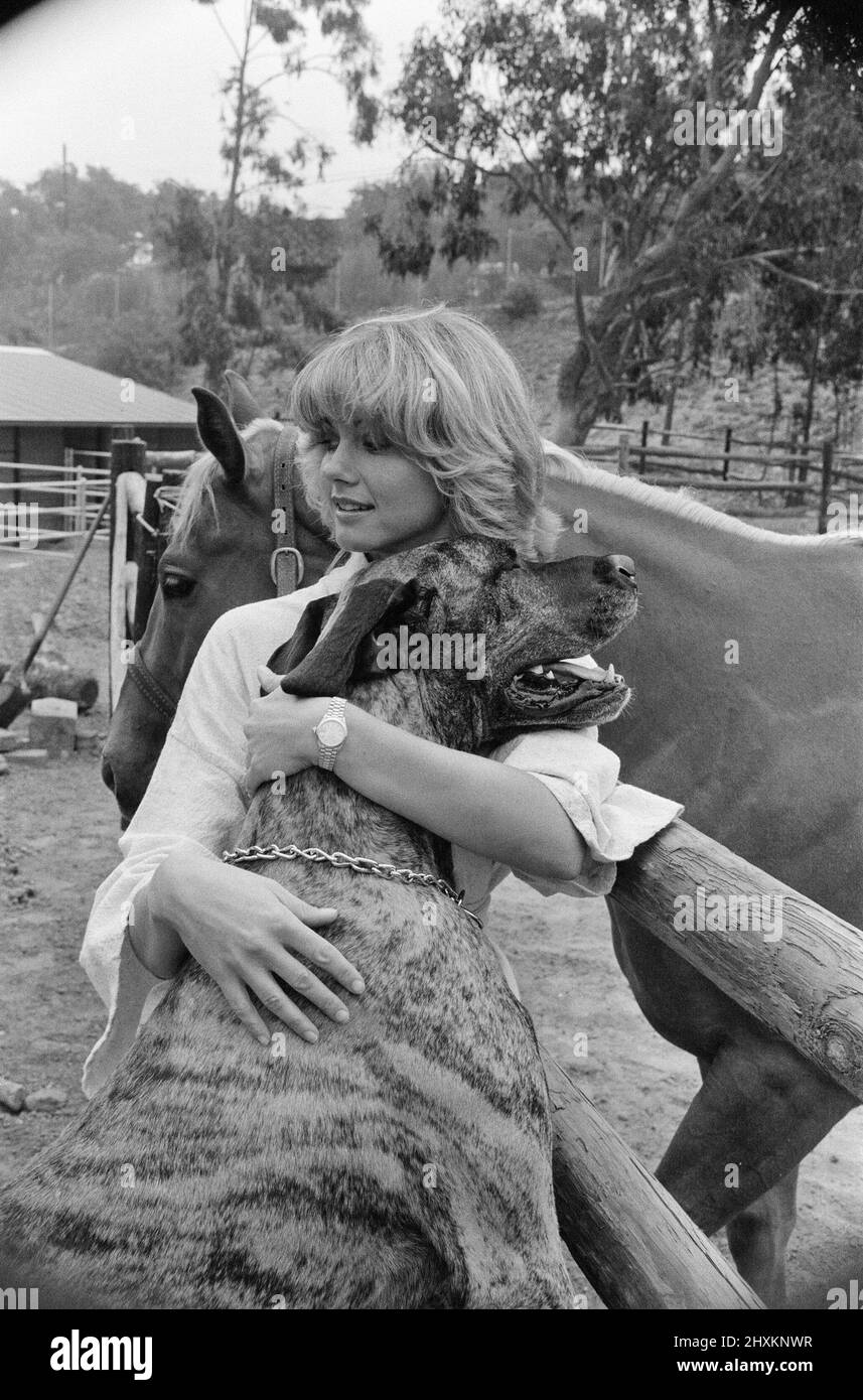 Olivia Newton John, singer and actor, pictured at home in Malibu, California, America.Pictured her with her horse and one of her dogs.   Picture taken 25th July 1976 Stock Photo