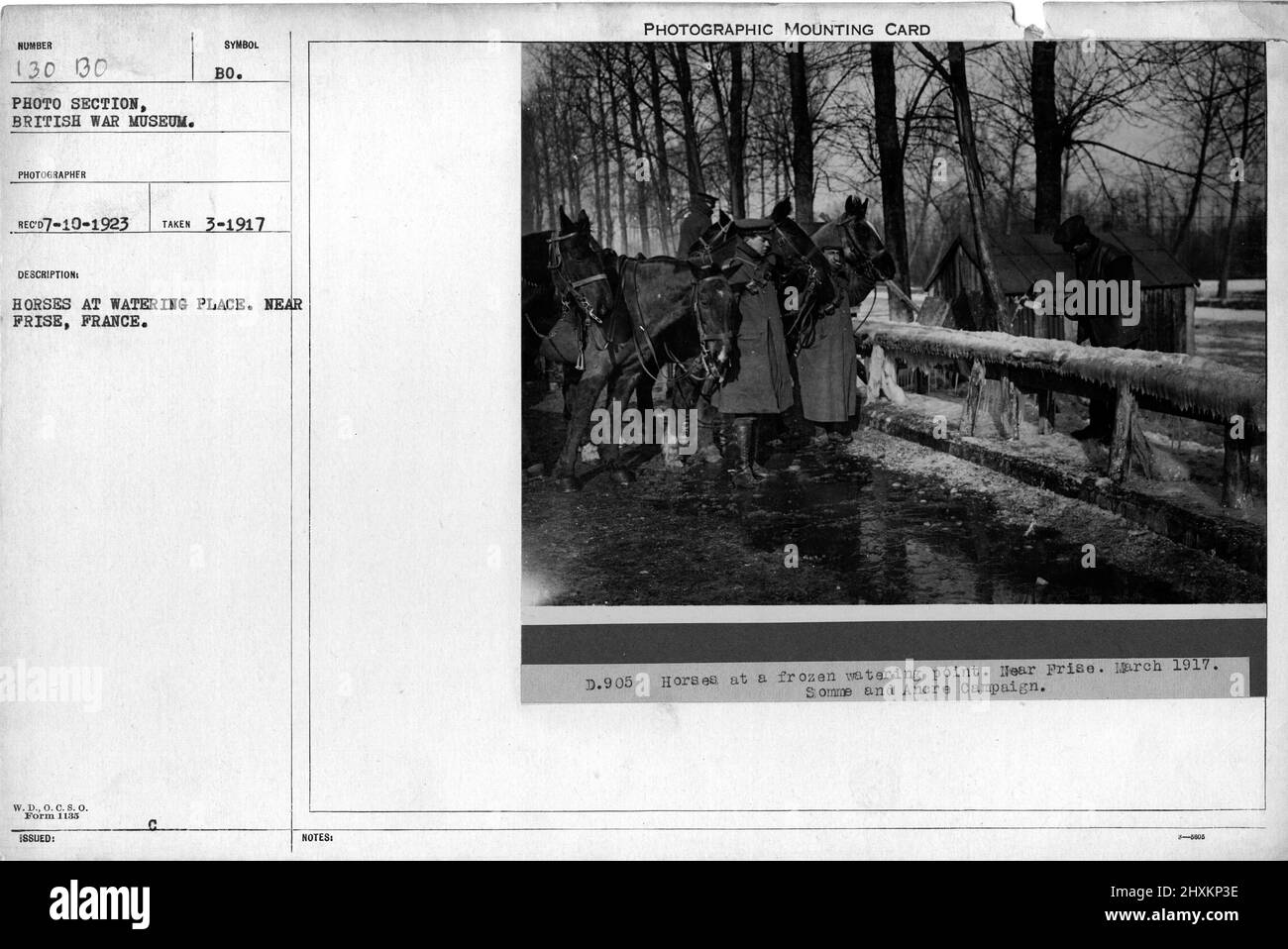 Horses ww1 world war 1 first world war hi-res stock photography and ...