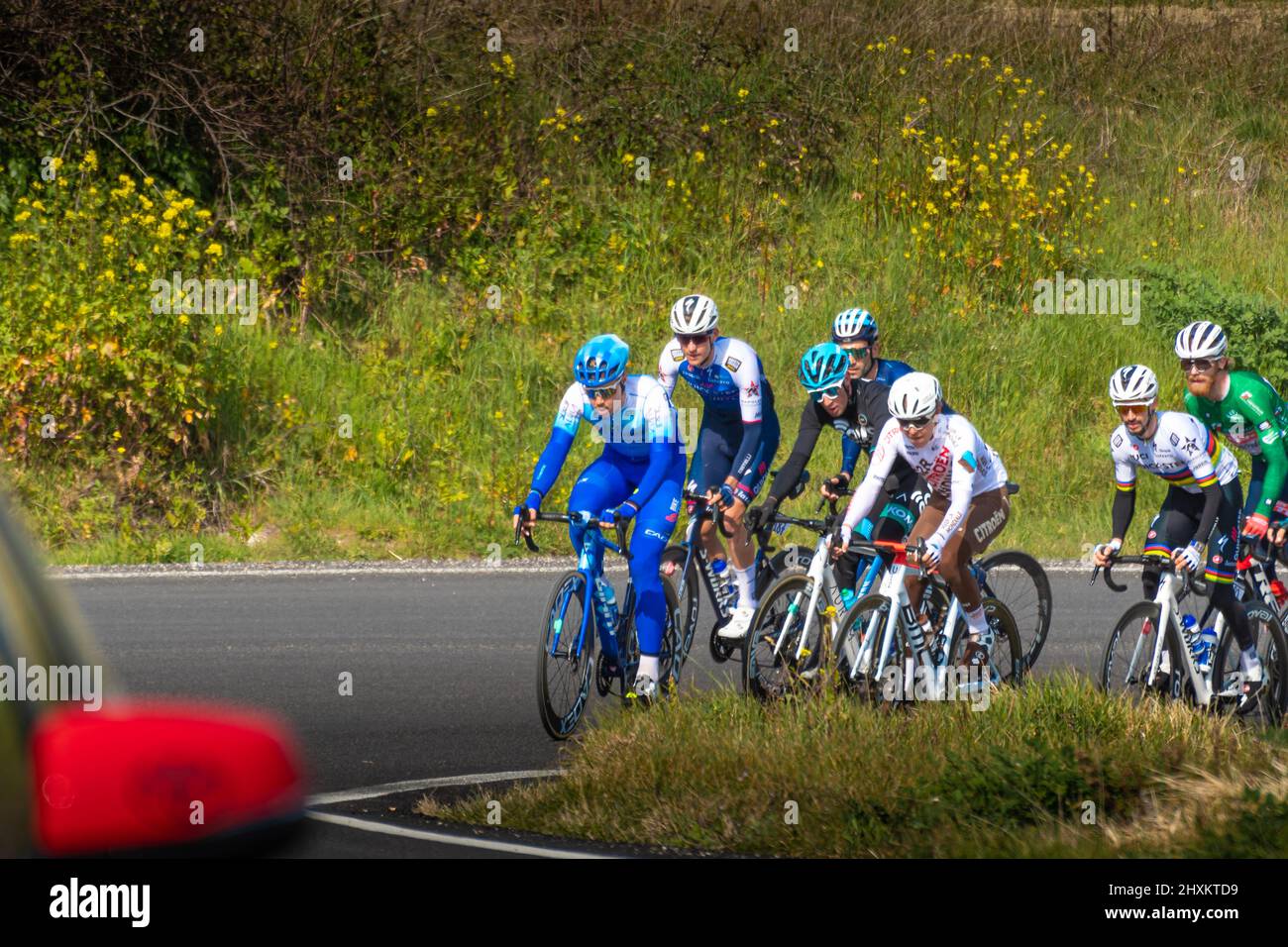 Italy, 12 March 2022 - professional cyclists travel an uphill road during the Tirreno Adriatico stage during the Apecchio - Carpegna stage in the Marc Stock Photo