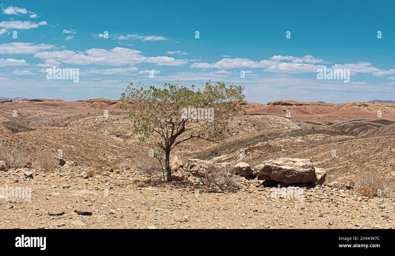Eine steinige Hochebene im Namib-Naukluft-Nationalpark in Namibia Stock Photo