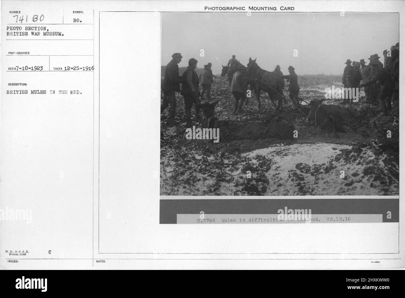 Collection of World War I Photographs, 1914-1918 that depict the military activities of British and other nation's armed forces and personnel during World War I. Stock Photo
