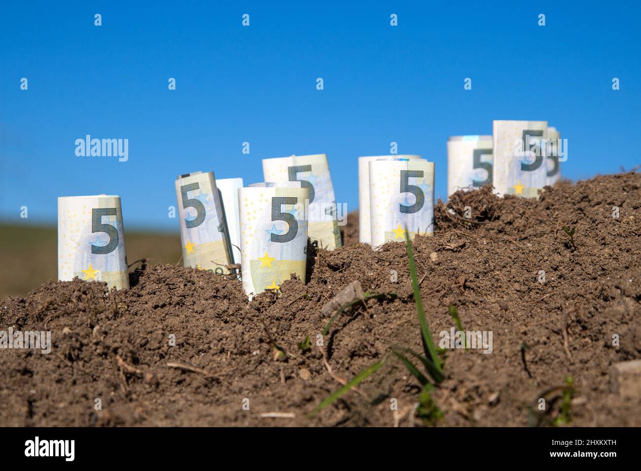 Several euro bills stuck in precious farmland. The demand for land is increasing worldwide. Stock Photo
