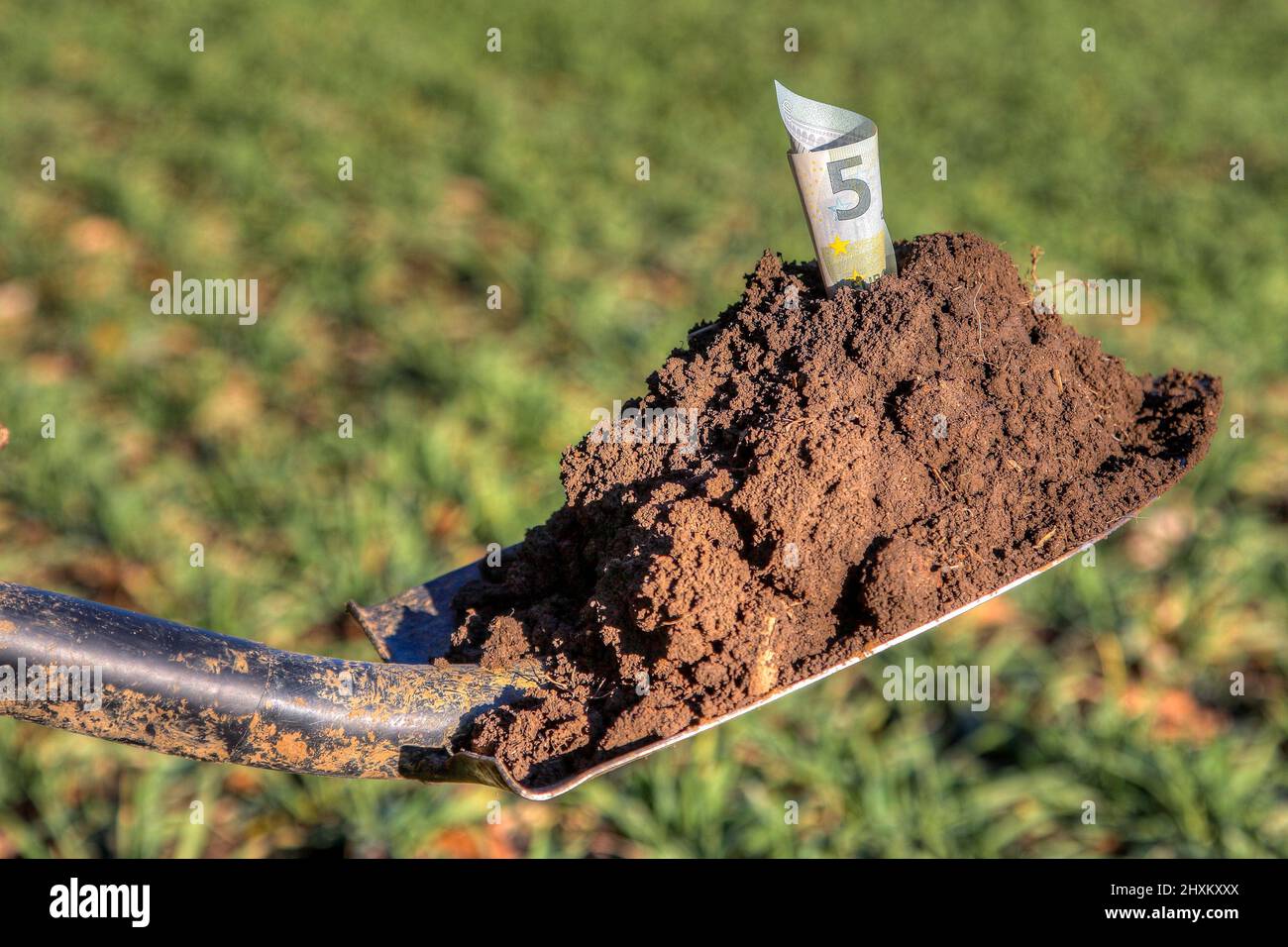 Shovel with fertile soil in which a euro banknote is stuck. The demand for land is increasing worldwide. Stock Photo