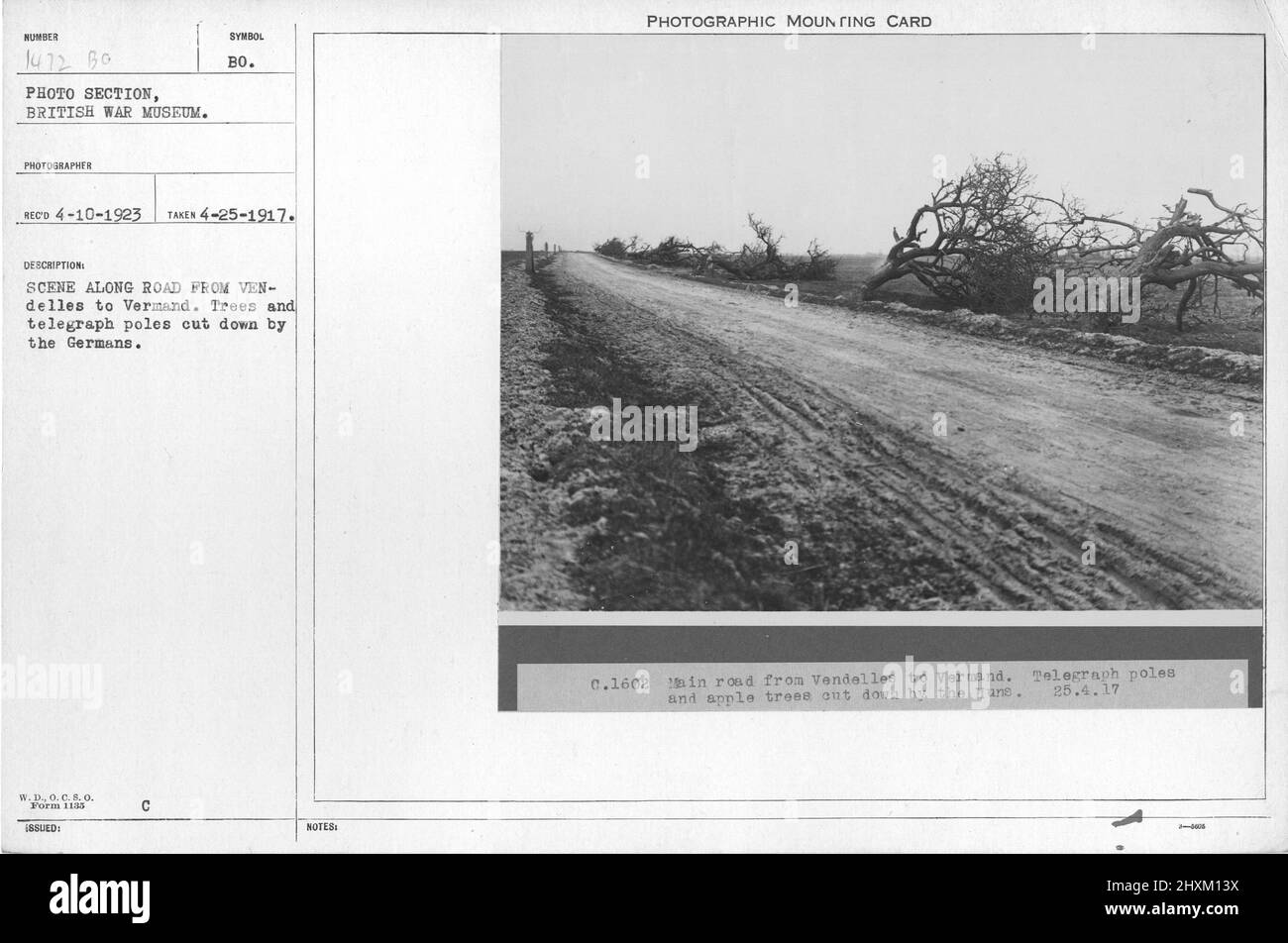 Scene Along Road From Vendelles To Vermand. Trees And Telegraph Poles Cut  Down By The Germans. Collection Of World War I Photographs, 1914-1918 That  Depict The Military Activities Of British And Other