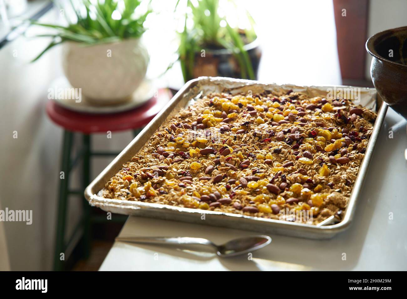 Pan of home made baked granola in kitchen Stock Photo Alamy