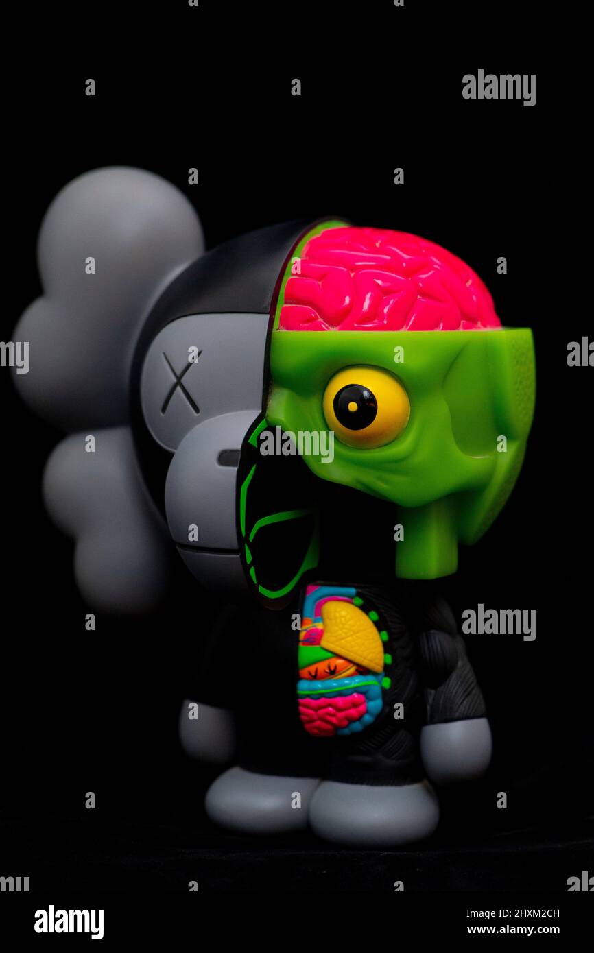 KAWS Baby Milo Dissected vinyl figure Stock Photo - Alamy