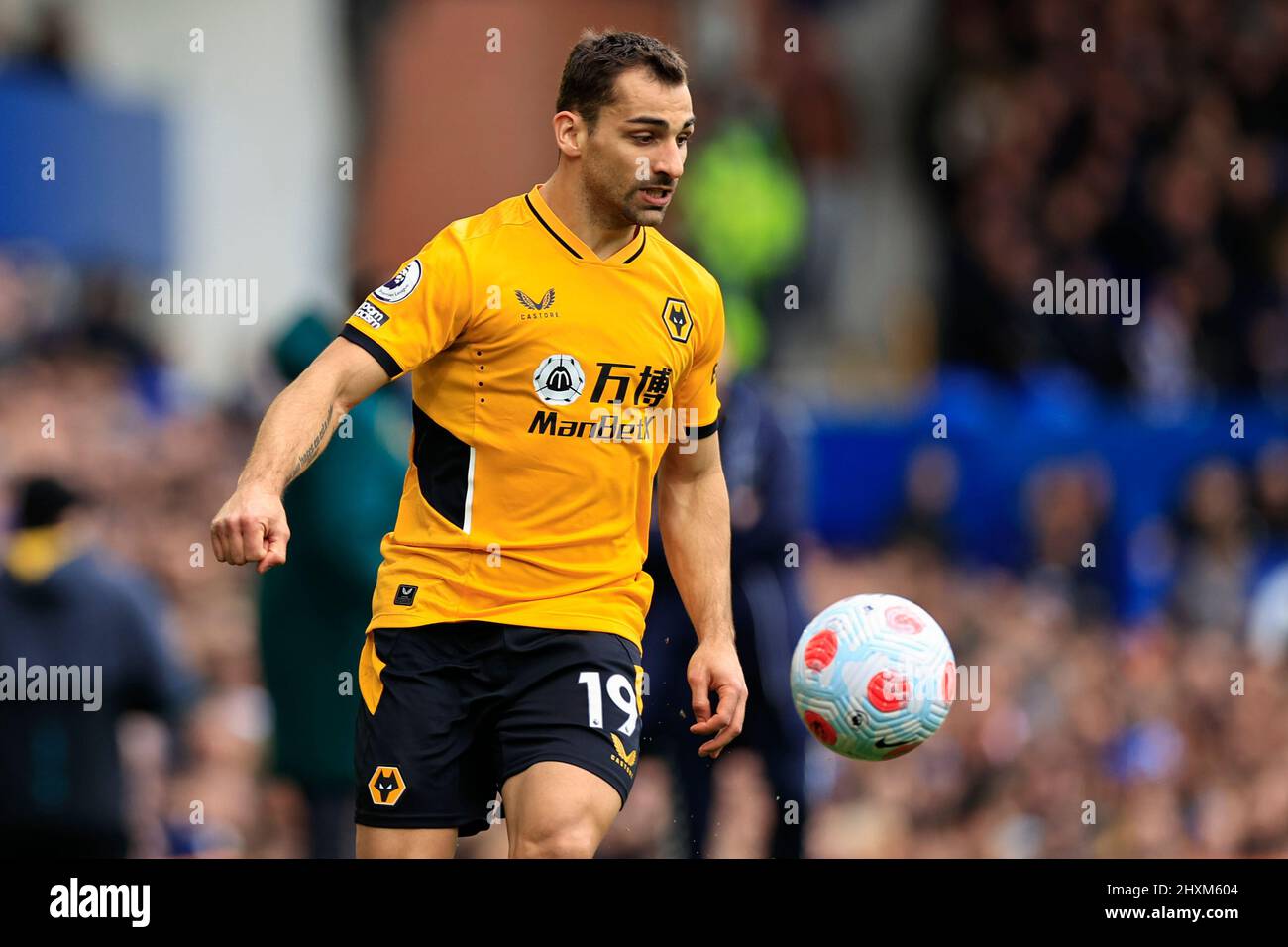 Jonny wolves sale