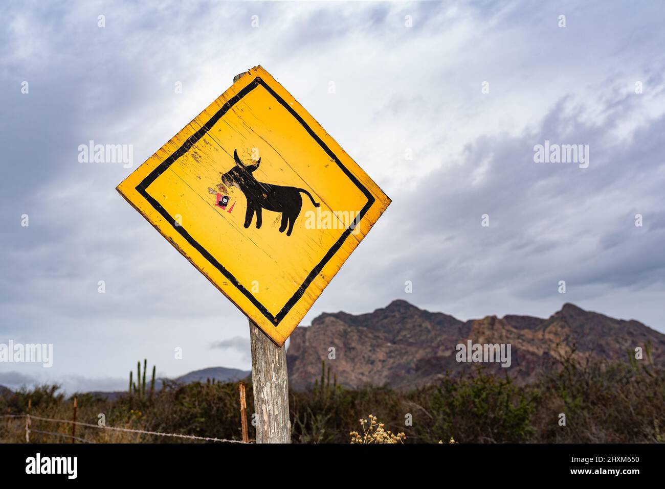 A yellow diamond shaped caution sign with a black burro on it warns drivers to watch for animals. Stock Photo