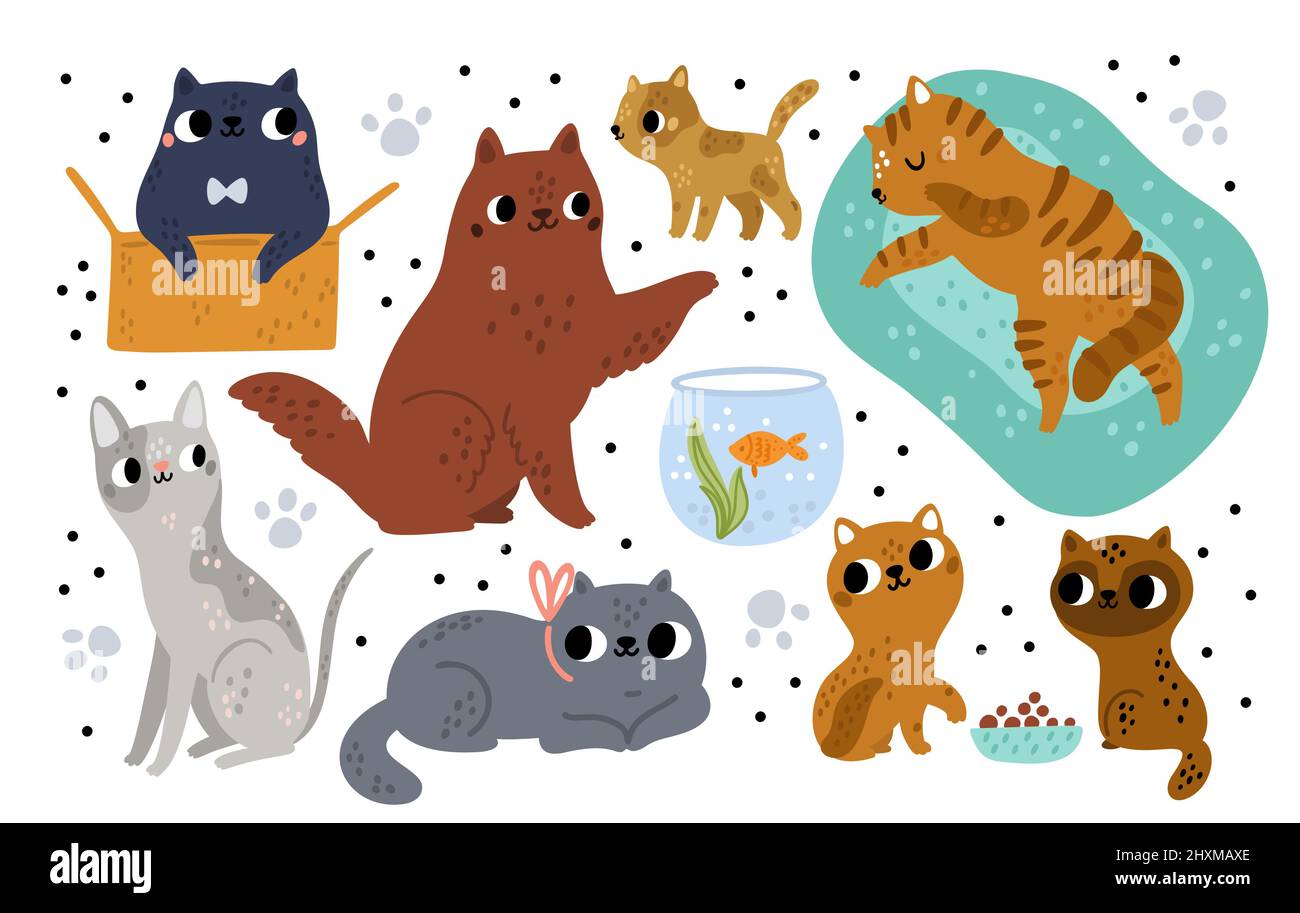 Cute cat breeds. Different funny pets characters. Cartoon kitties playing with box and aquarium. Various wool colors. Kittens sleeping or feeding Stock Vector Image & Art - Alamy Cute cat breeds. Different funny pets characters. Cartoon kitties playing with box and aquarium. Various wool colors. Kittens sleeping or feeding Stock Vector Image & Art - Alamy