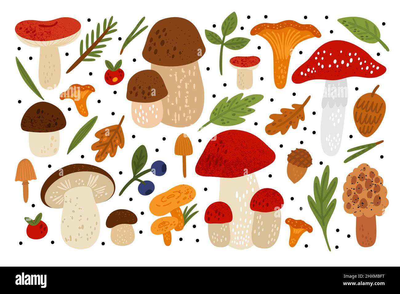 Forest mushrooms. Woodland fungus with leaves. Berries and coniferous needles. Edible and poisonous. Hand drawn textures. Agaric or chanterelle. Oak Stock Vector