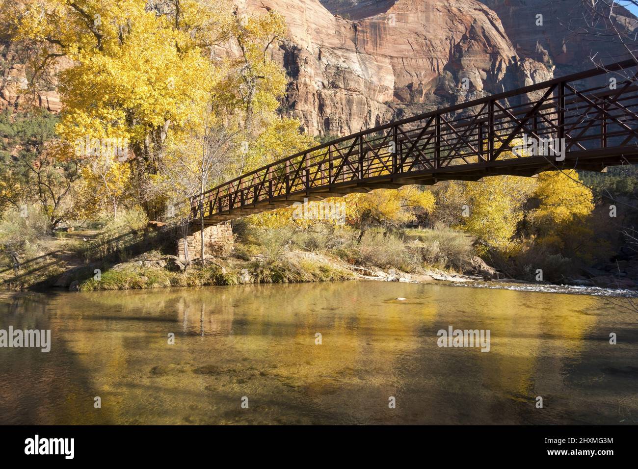 Pedestrian and Equestrian Footbridge over Virgin River Canyon with Autumn Foliage Yellow Leafs Landscape. Scenic Hiking Zion National Park, Utah USA Stock Photo