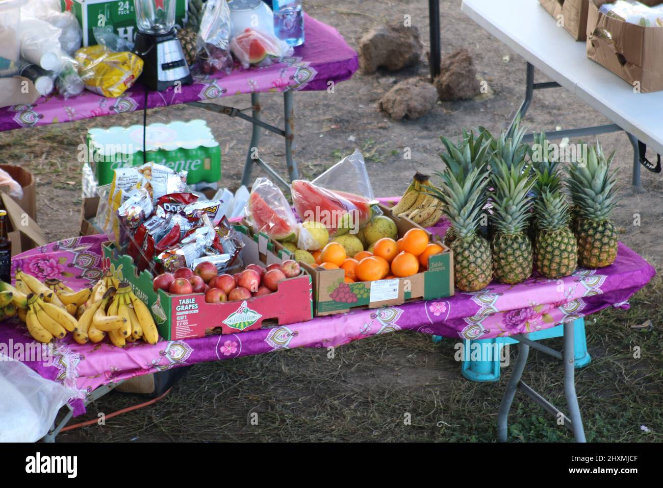 Display of Caribbean fruit including pineapples and bananas Stock Photo