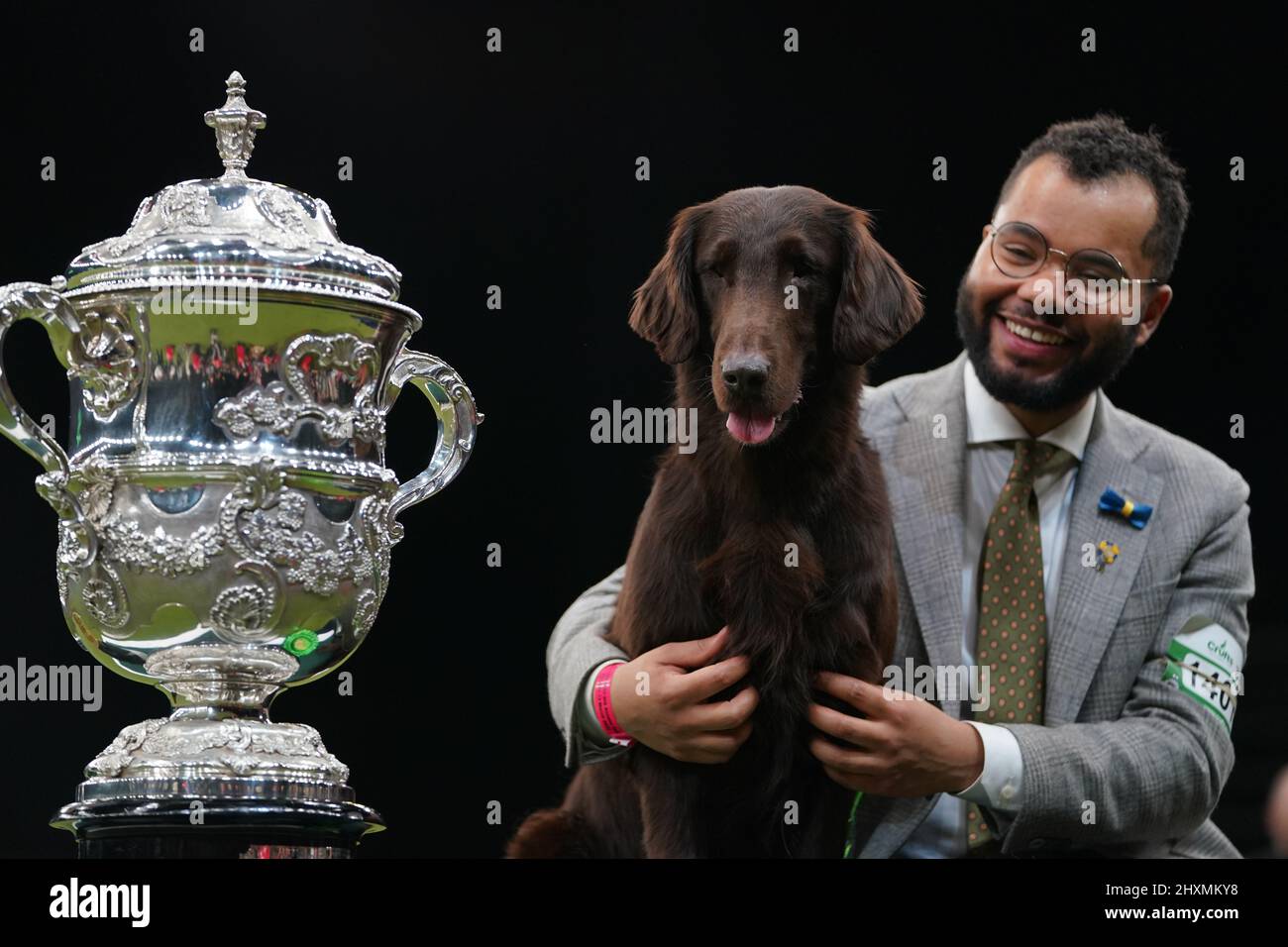 Crufts gundog orders day