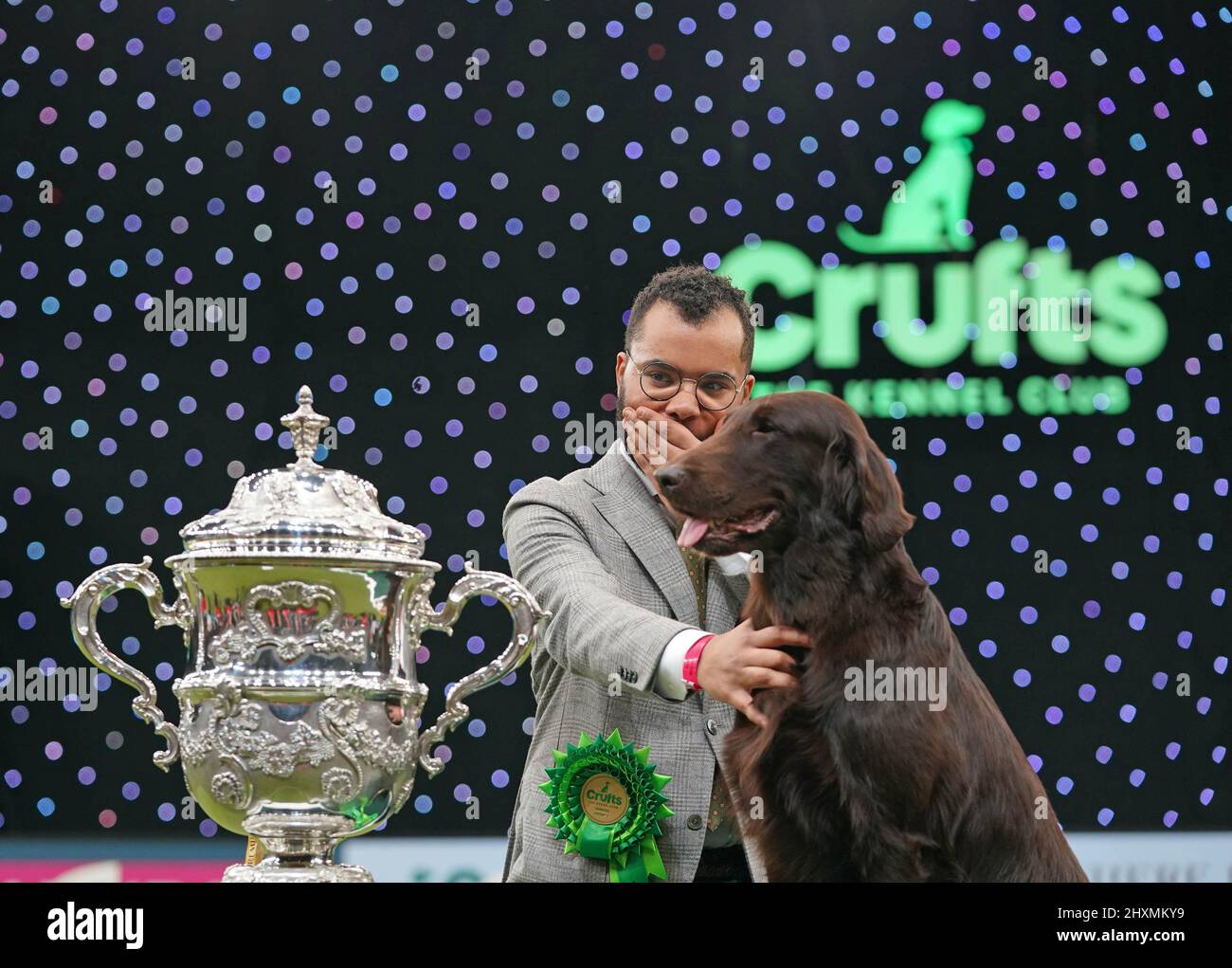 crufts-2022-winner-hi-res-stock-photography-and-images-alamy