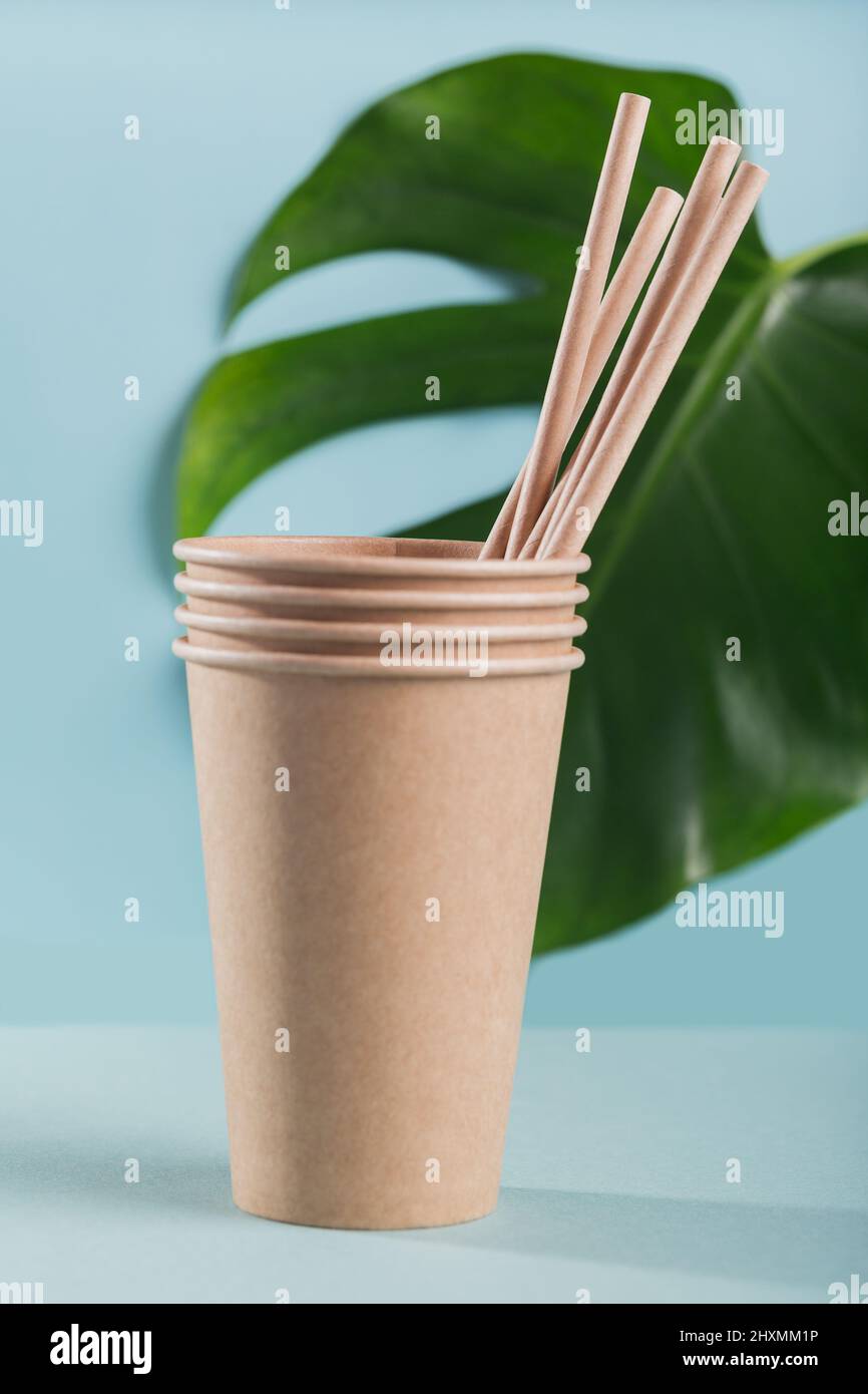 Catering and street fast food paper cups and straws. Accessories for