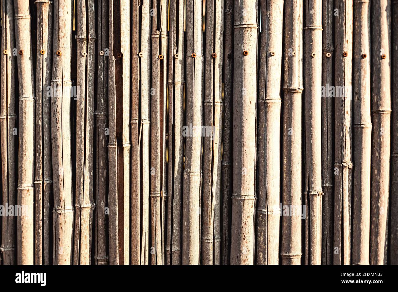 Closeup of a horizontal natural textured bamboo fence with old rusty