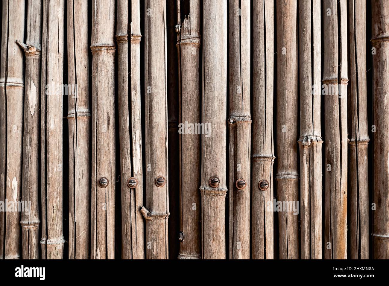 Bamboo gate hi-res stock photography and images - Alamy