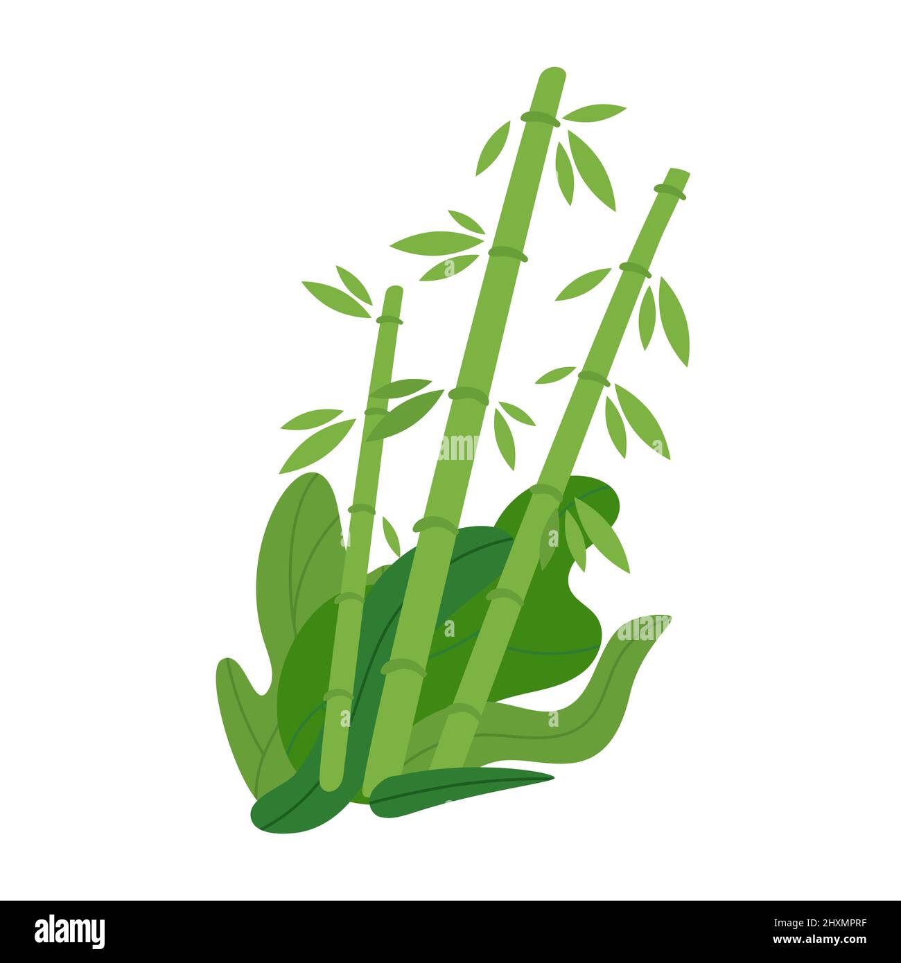 Vector flat style illustration of a bamboo Stock Vector