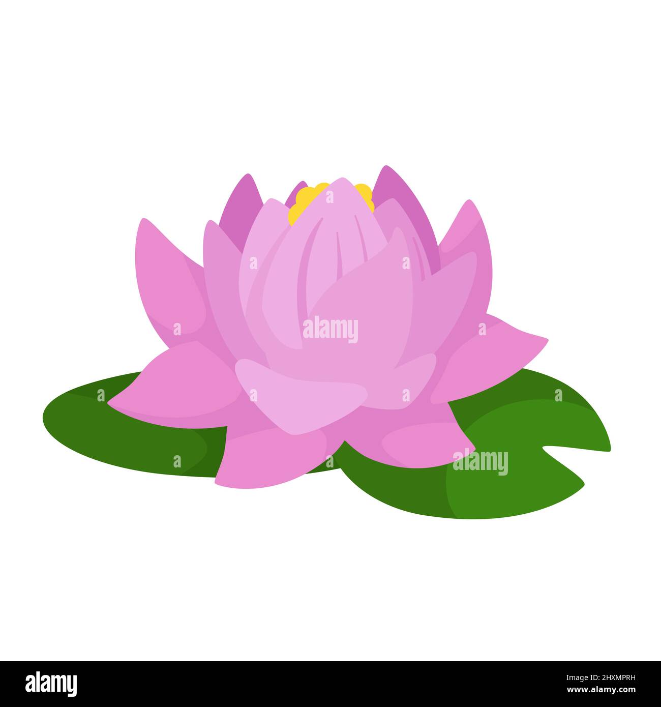 Vector cartoon illustration of a lotus flower isolated on white background Stock Vector