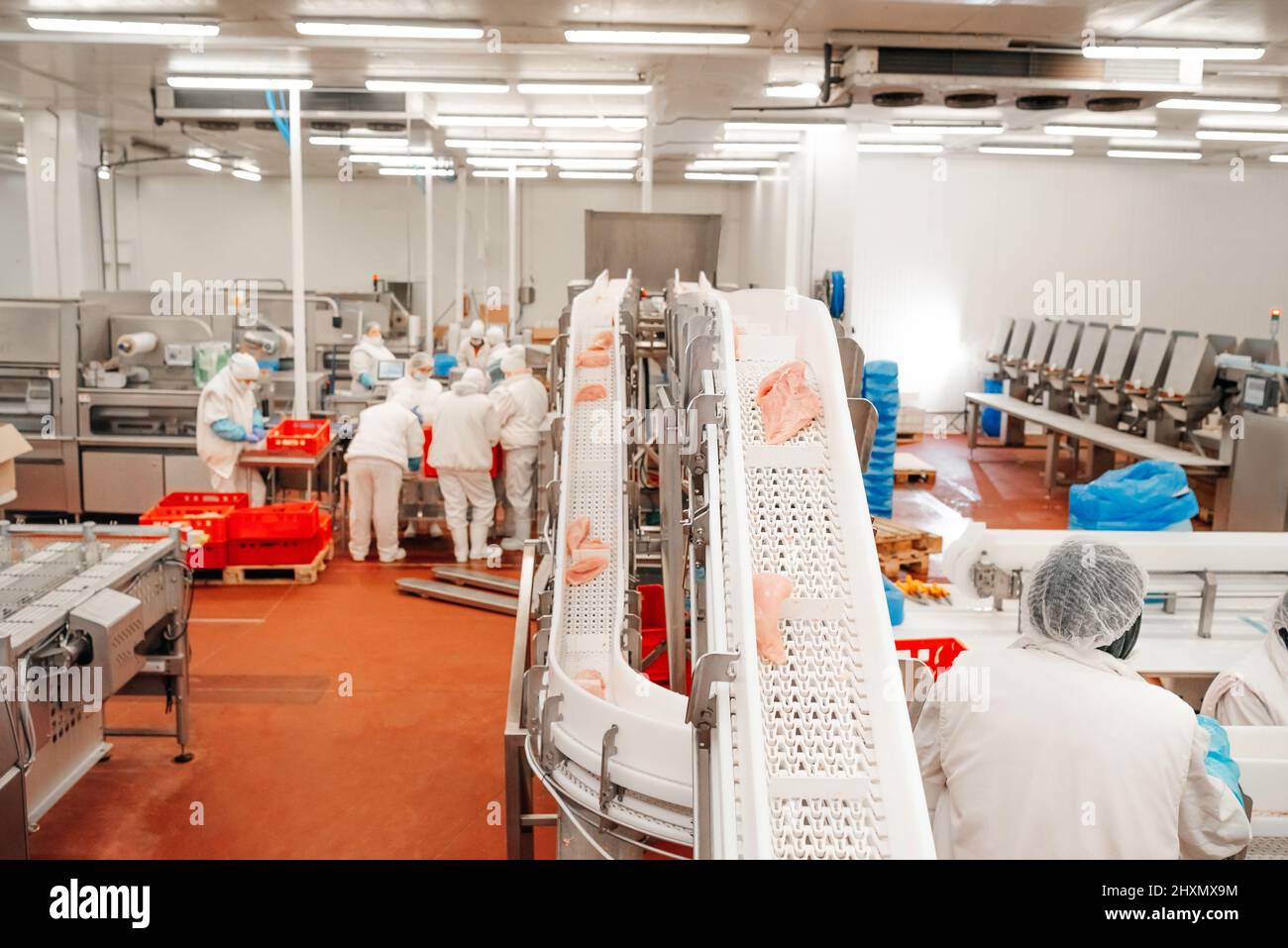 Chicken fillet production line . Factory for the production of food from meat.Modern poultry
