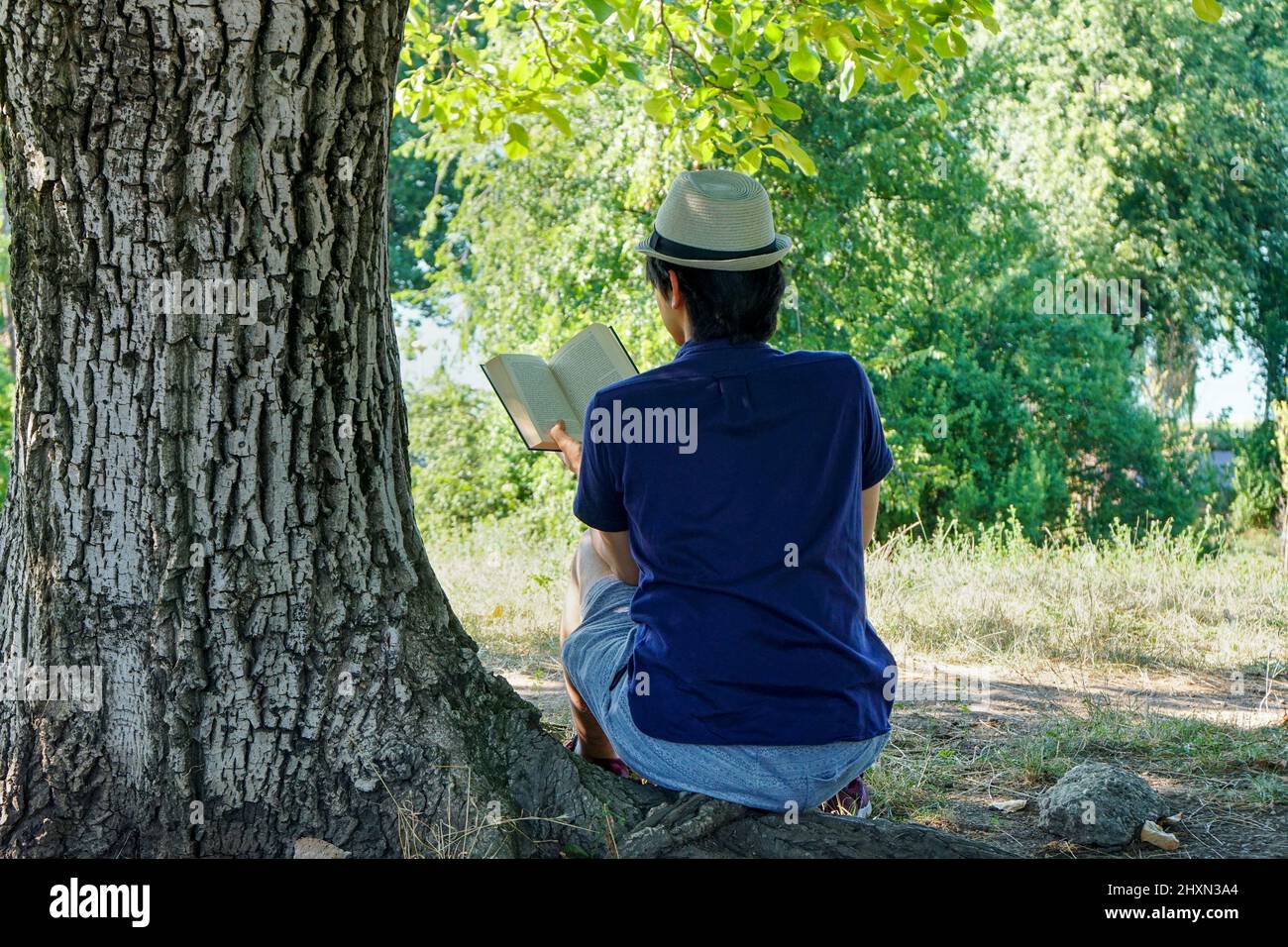 Young man reading book under a tree surrounded by nature. Stock Photo