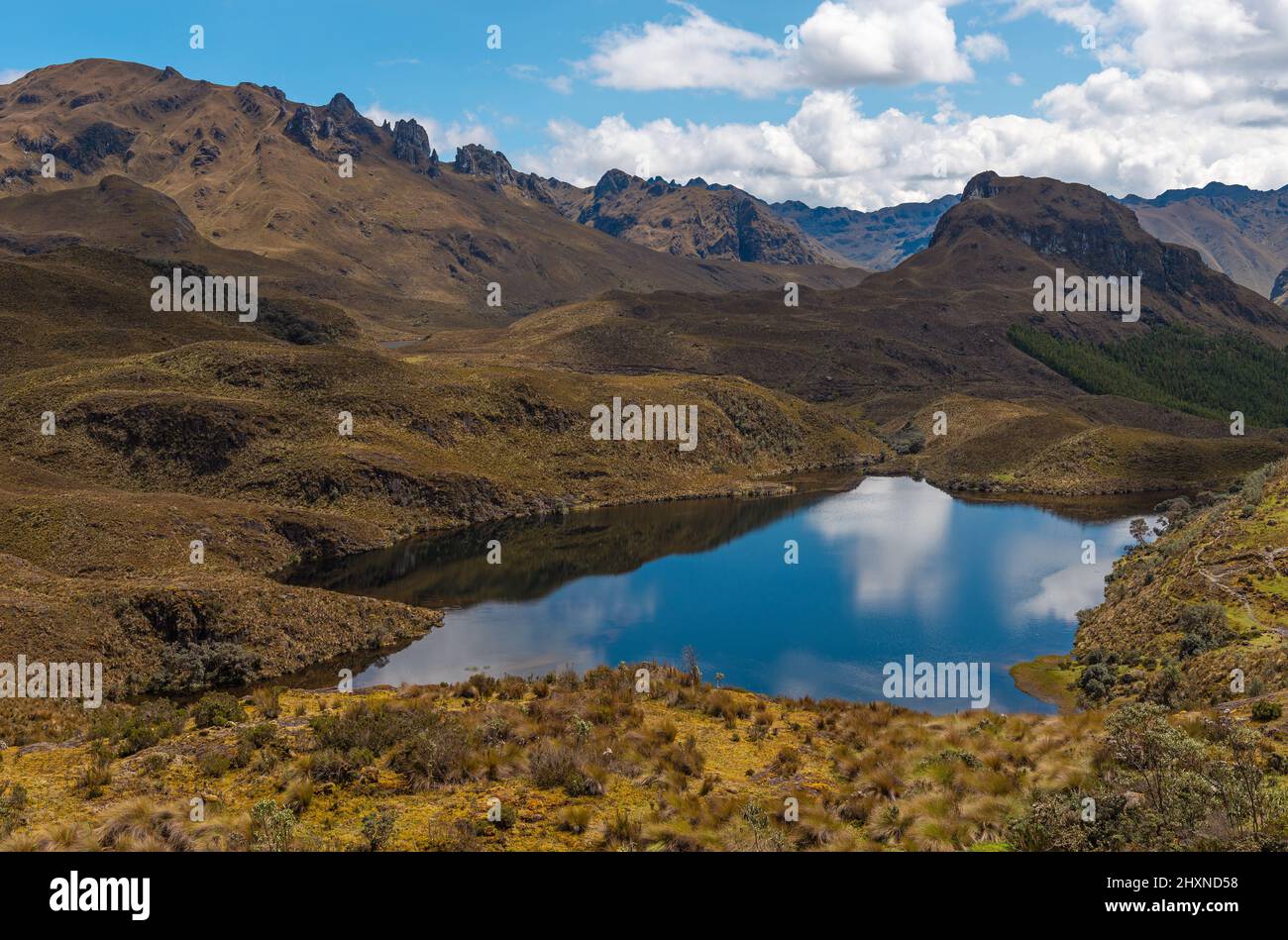 Lagoon and Andes mountains landscape, Cajas national park, Cuenca, Ecuador. Stock Photo