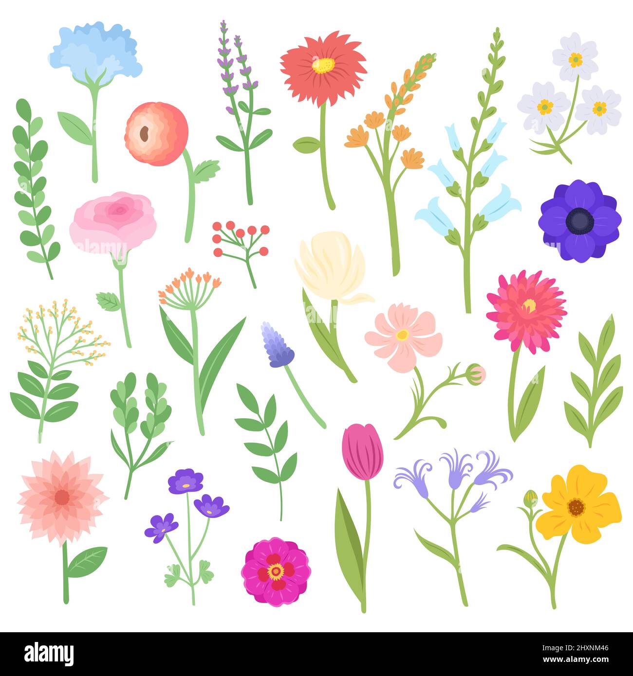 Set of spring flowers and plants, vector Stock Vector Image & Art Alamy