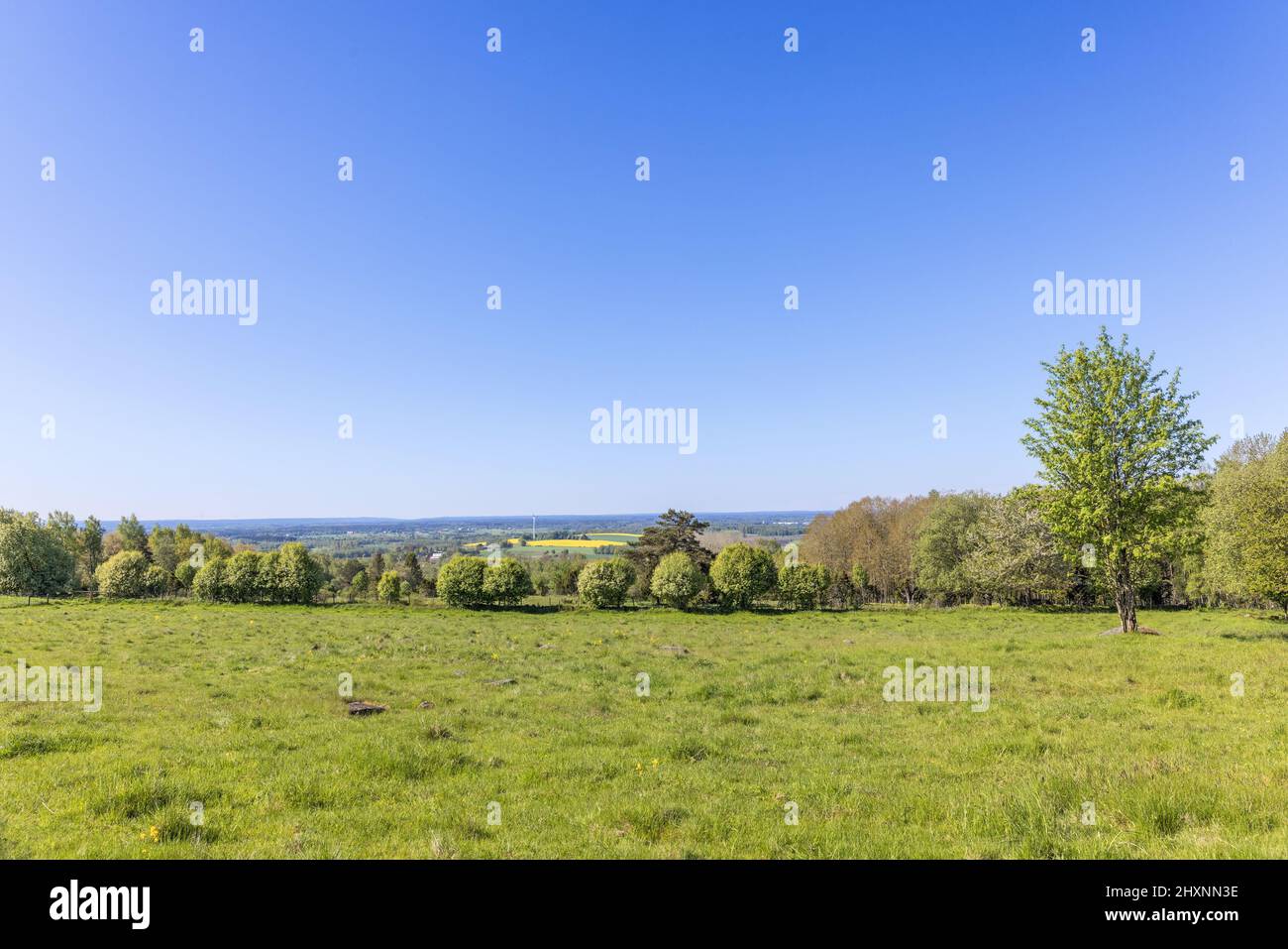 Summer landscape green meadow hi-res stock photography and images - Alamy