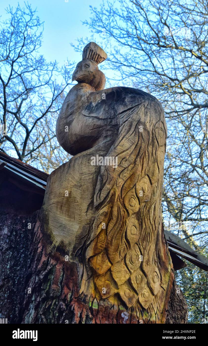 birdbox on tree, england Stock Photo