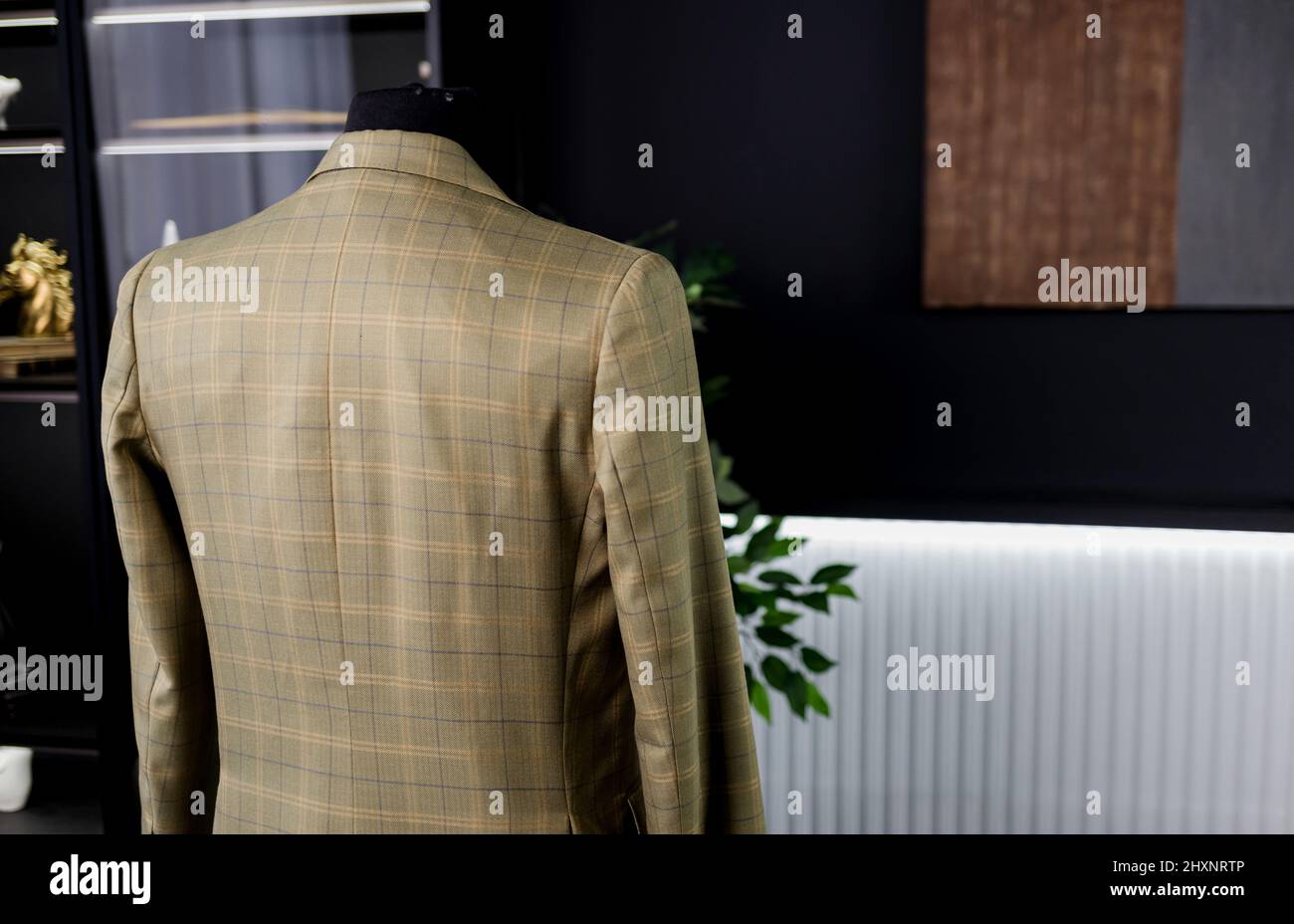elegant men's jacket in a check hangs on a mannequin. clothing sales Stock Photo
