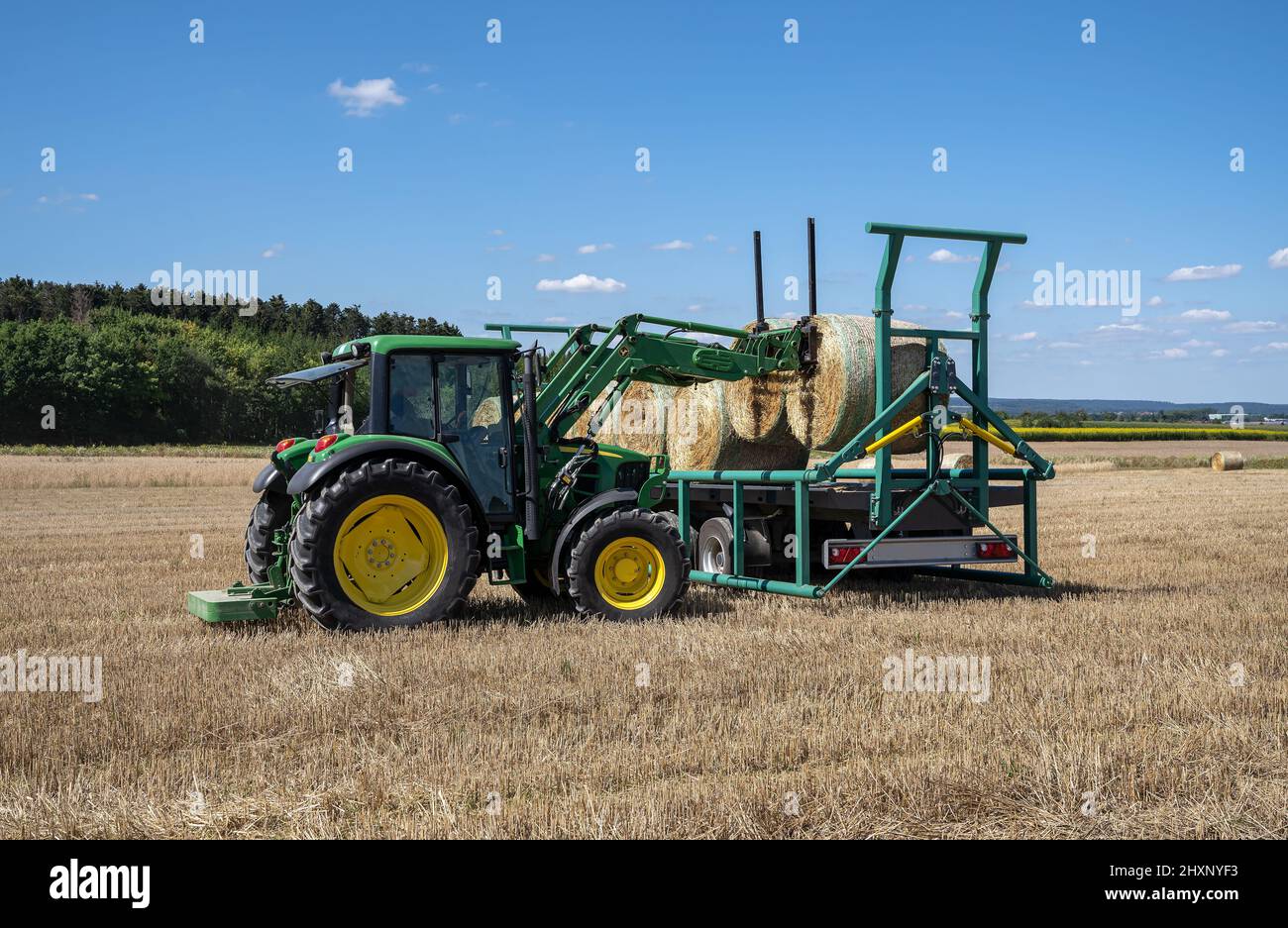 Tractor loads bales of straw onto a trailer in a stubble field Stock Photo