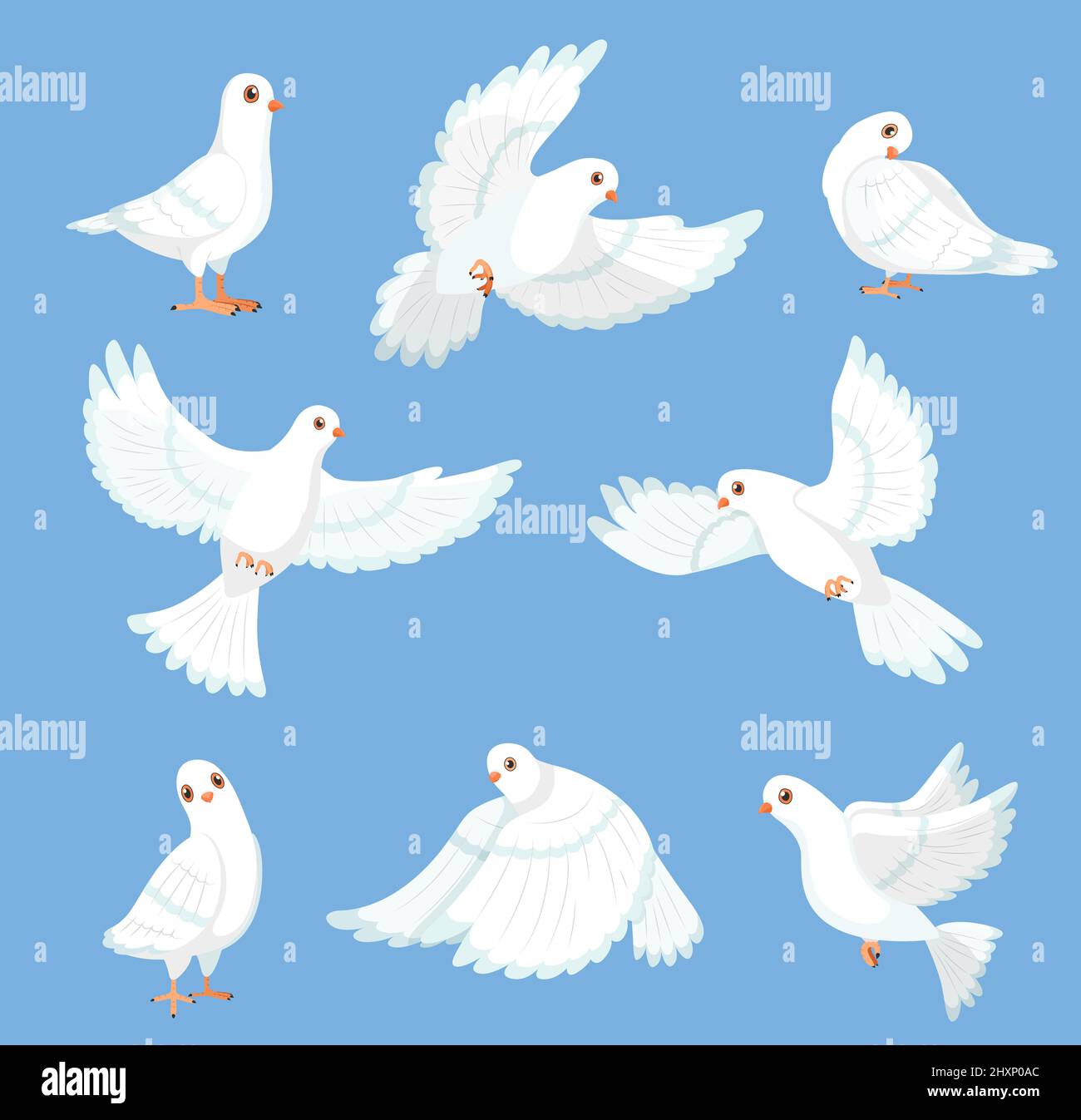Cartoon white dove. Peace and freedom symbol pigeon, different poses,  flying and walking cute birds, city fauna, hope and love, drawing funny  urban Stock Vector Image & Art - Alamy