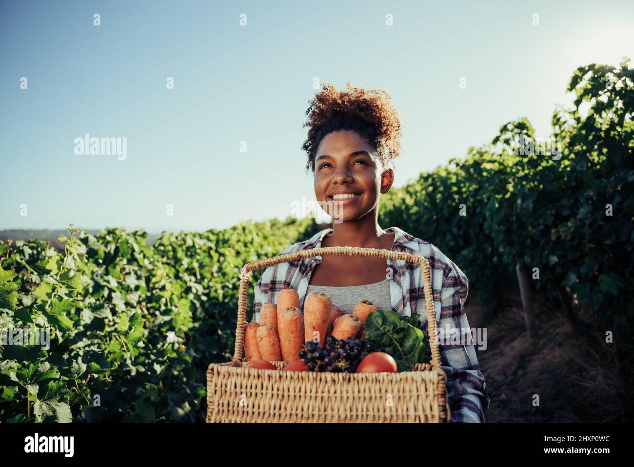 Mixed race female walking through vineyards smiling holding large basket of vegetbales  Stock Photo
