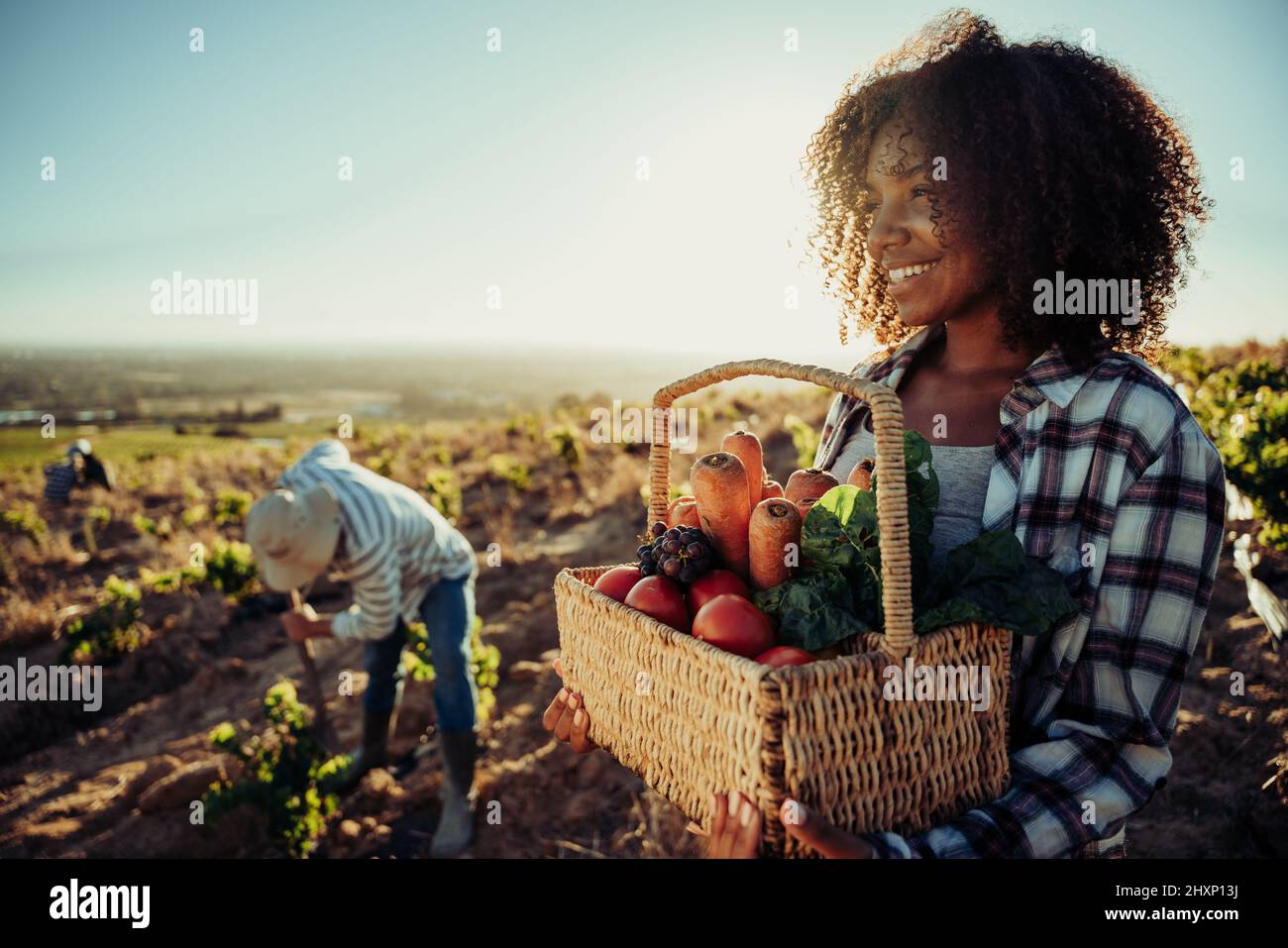 Mixed race female farmer holding vegetable basket while male worker harvests crops  Stock Photo