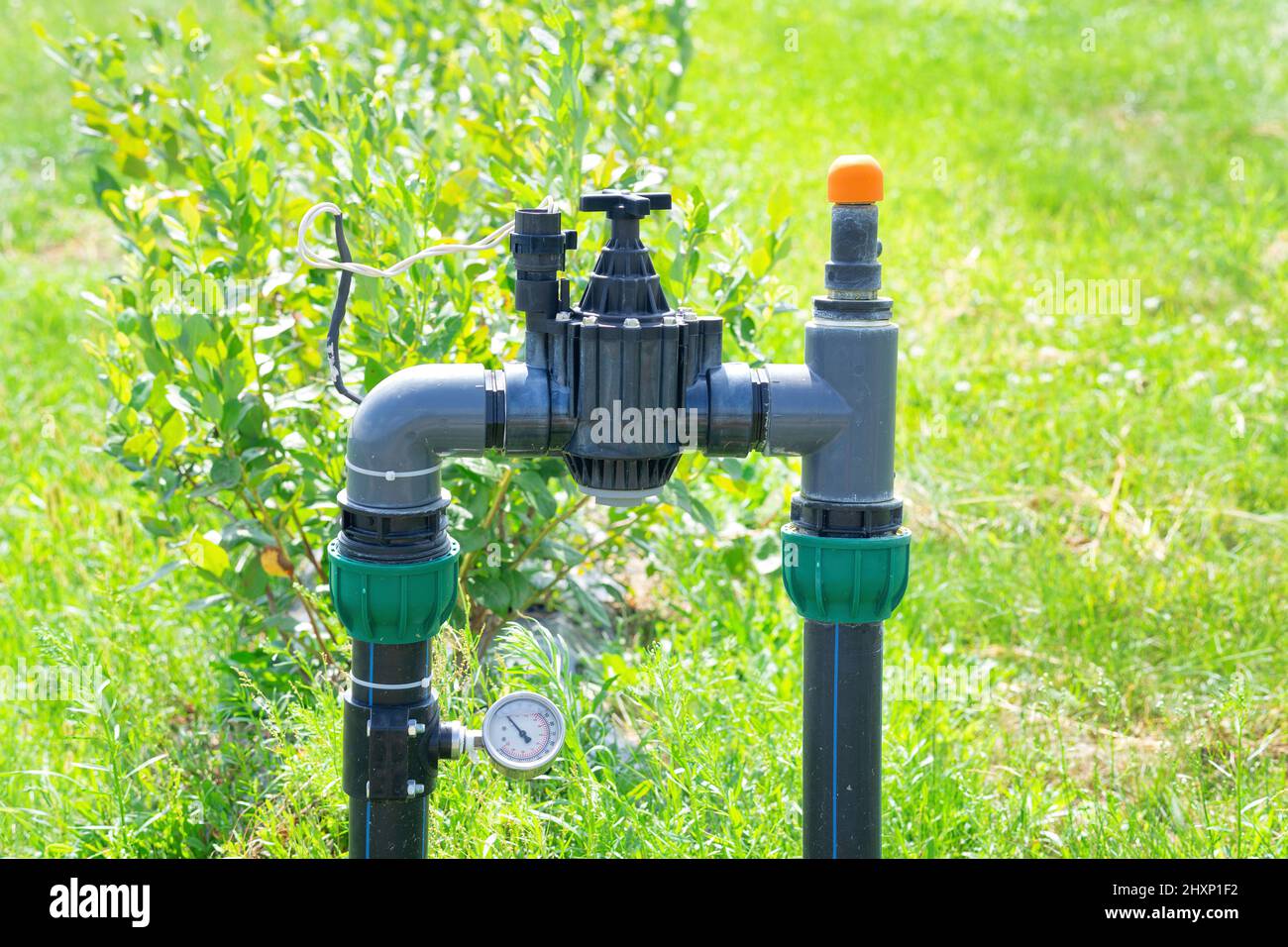 Piping and instrumentation of the blueberries farm drip irrigation system. Stock Photo