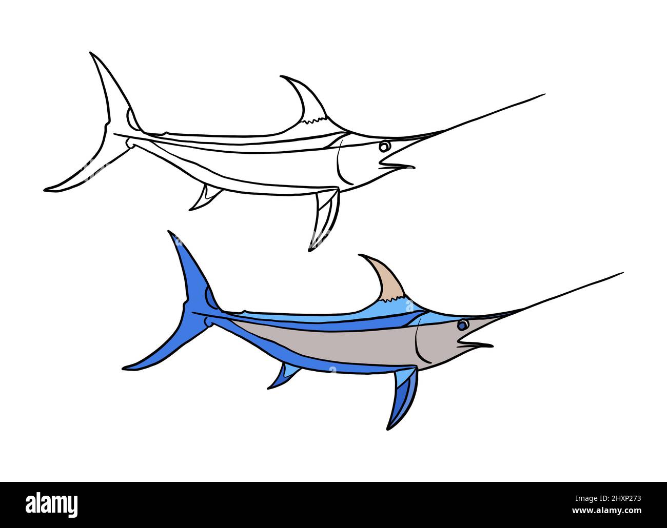 Illustration for a coloring book in color and black and white. Drawing of a swordfish on a white isolated background. High quality illustration Stock Photo