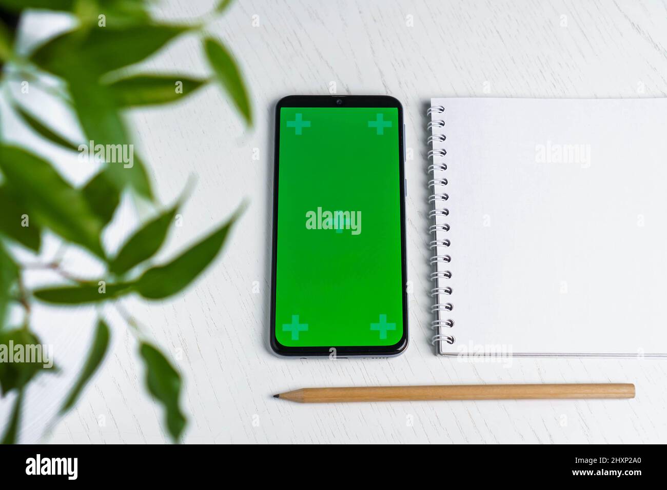Green leave with blank notepad smartphone green screen mockup and pencil flat lay. Top view Stock Photo