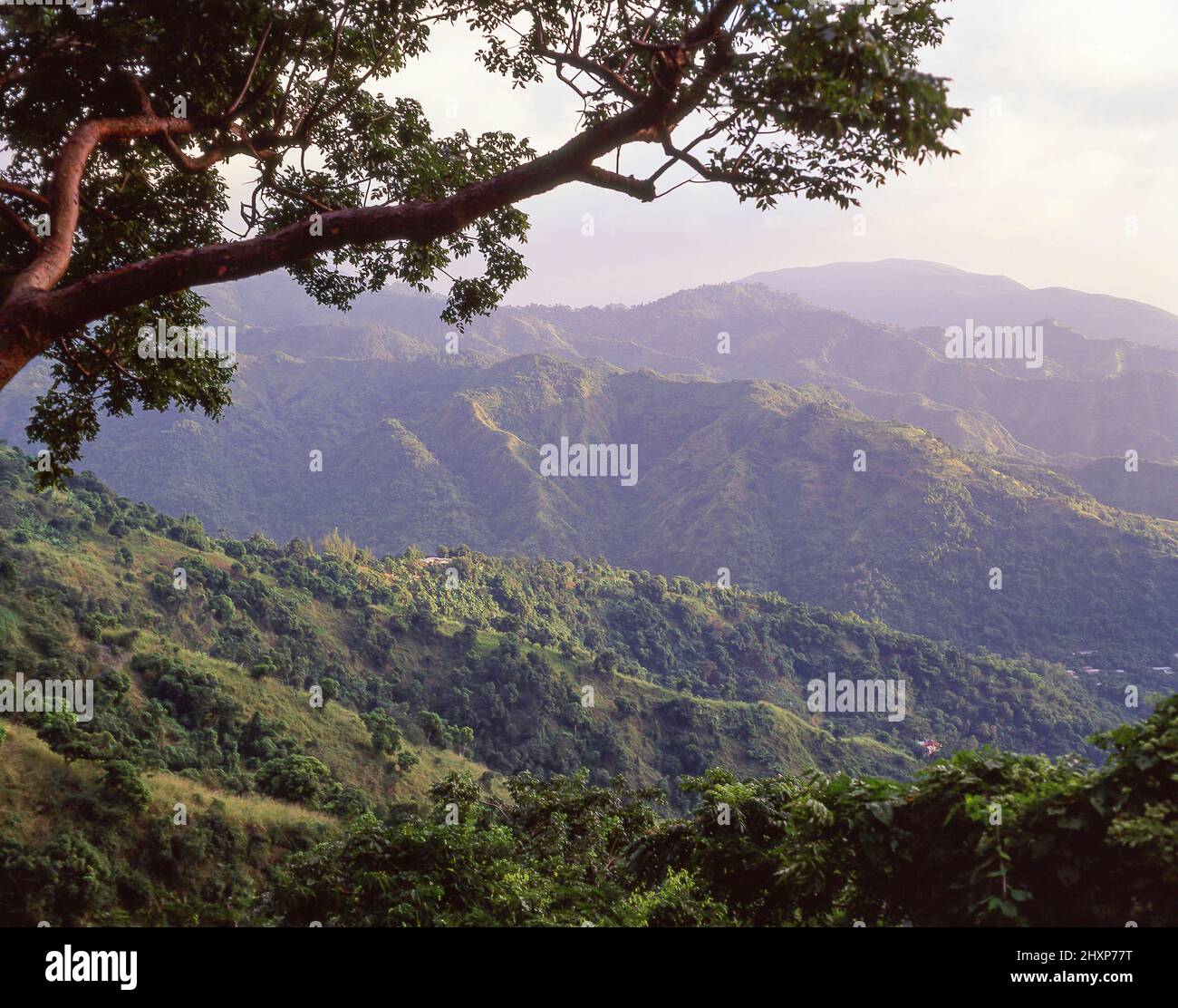 The Blue Mountains, Portland Parish, Surrey County, Jamaica, Greater Antilles, Caribbean Stock Photo