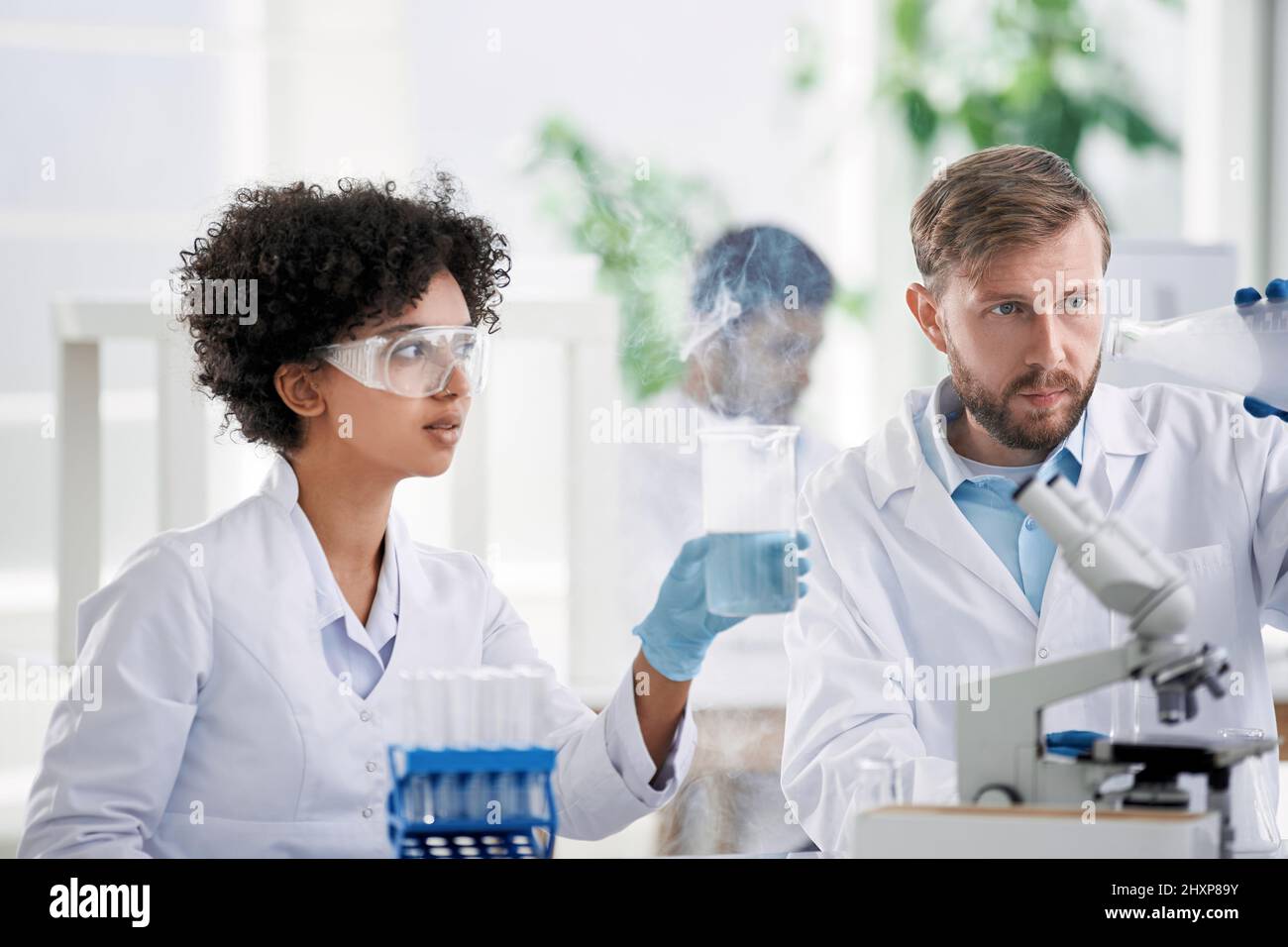 scientists examining control samples in the laboratory . Stock Photo