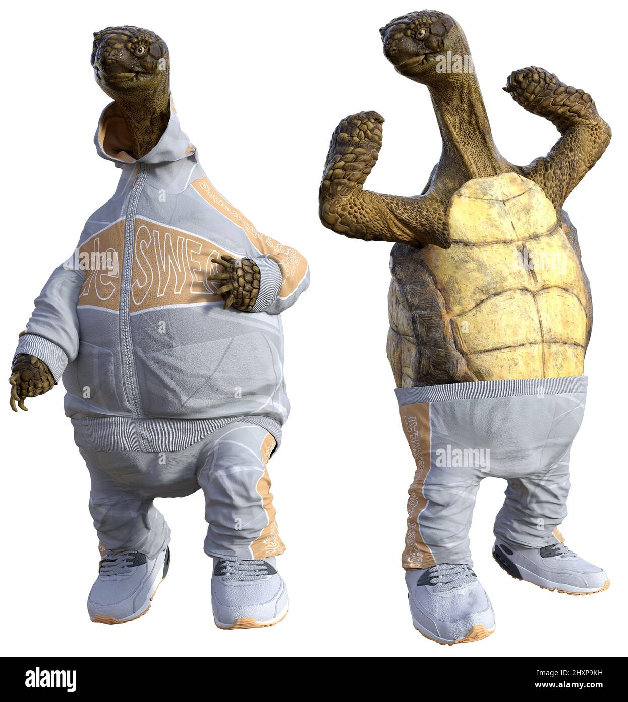 Cartoon Tortoises working out 3D illustrations Stock Photo