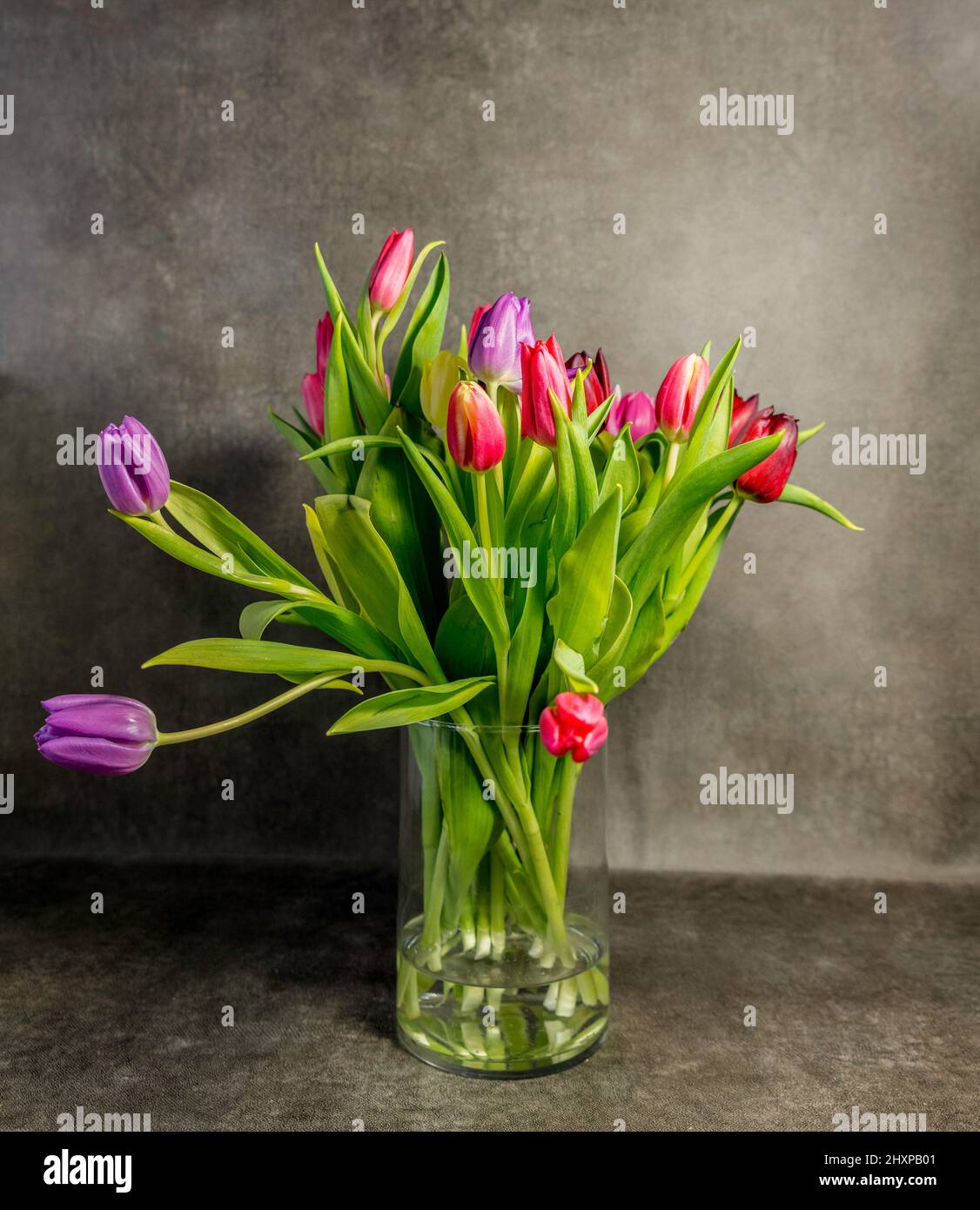 vase of glass with stil life of tulips Stock Photo