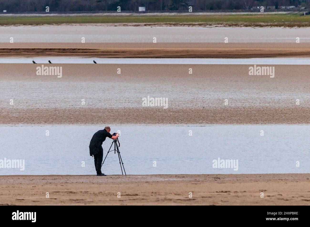 Lone photographer sets up his camera on its tripod on the sands of the river Kent estuary at Arnside in Cumbria. Stock Photo