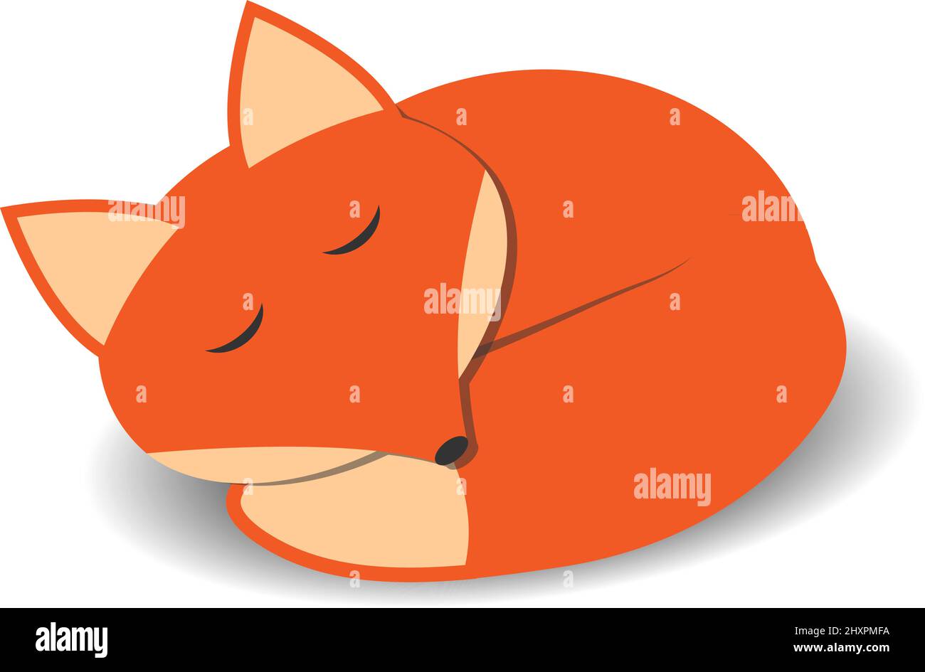 cute curled up sleeping fox, vector illustration Stock Vector