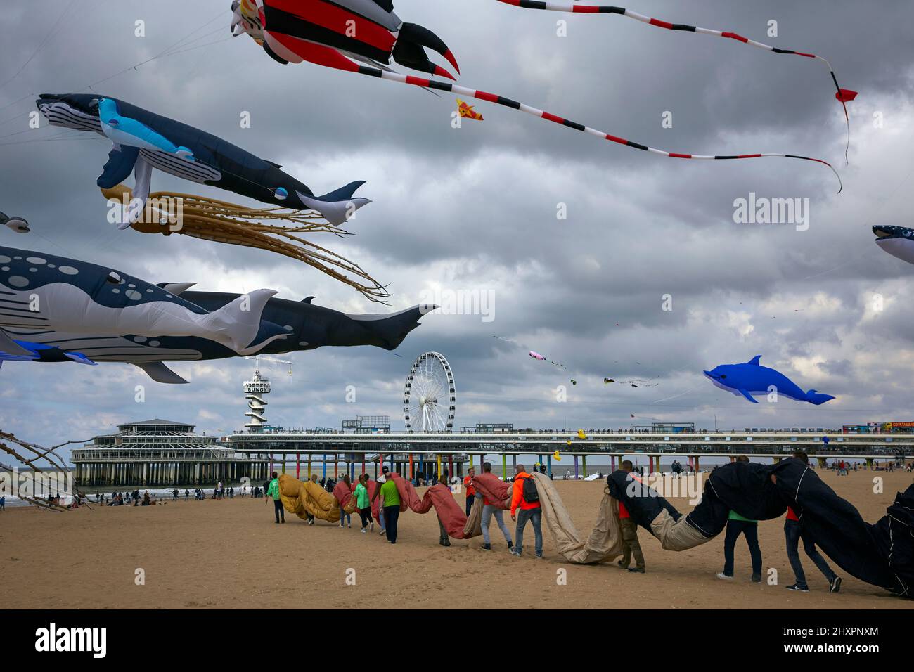 Participants of the Lekker Windje team transport the Megabyte kite, the largest kite in the world with a total of 2000 square meters of fabric Stock Photo