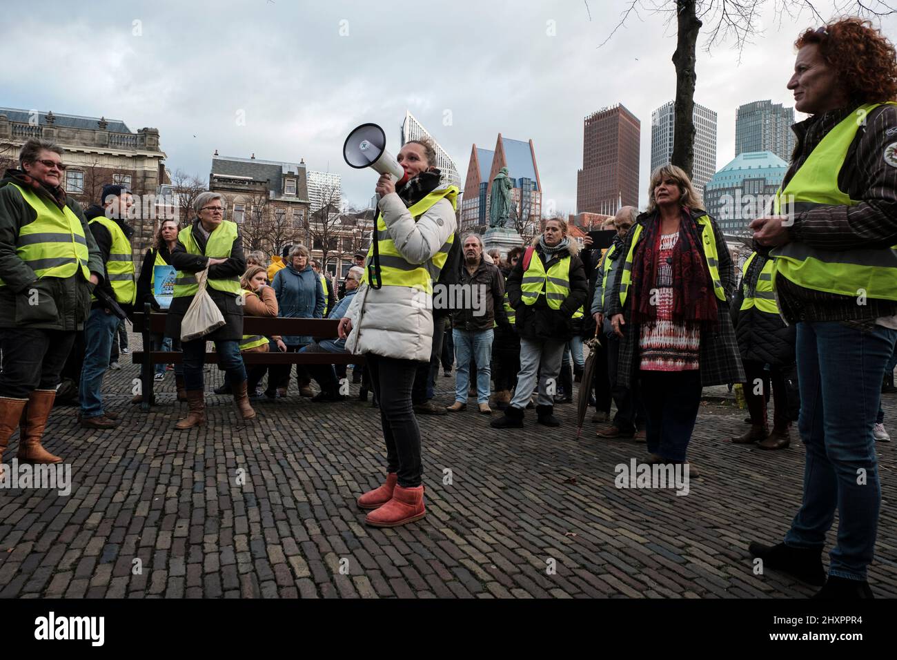 Members of the Yellow Vests movement protest in front of the parliament in The Hague. Stock Photo