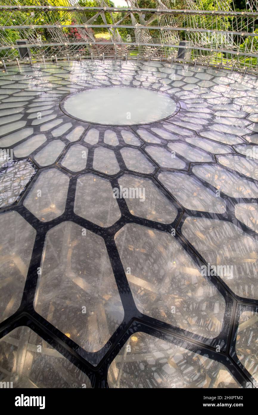 Floor of The Hive at Royal Botanic Gardens, Kew, London, England UK - A tribute to Britains honeybees. 17 metres tall. Designed by Wolfgang Buttress Stock Photo
