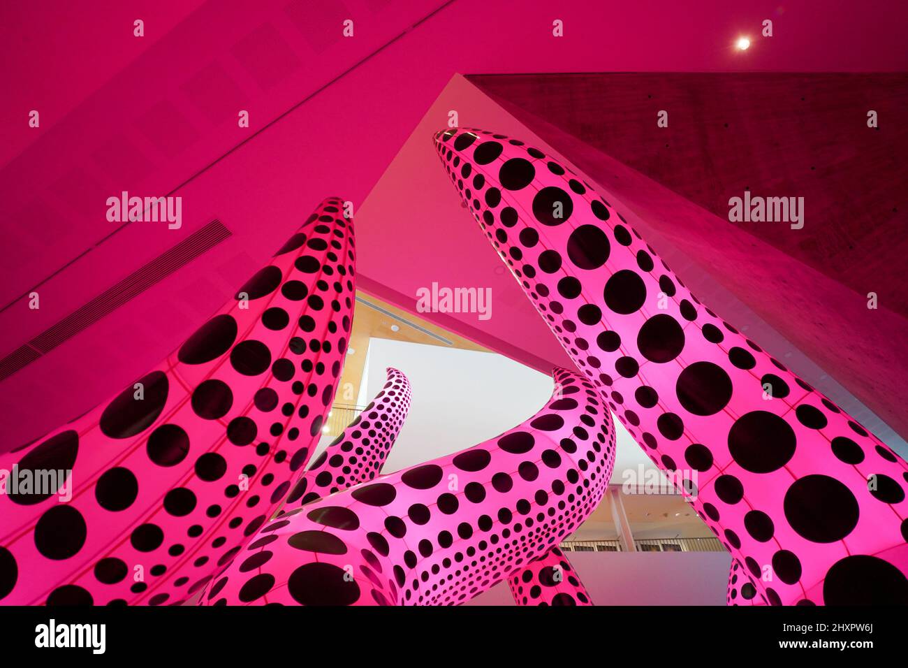 Yayoi Kusama exhibition at the Tel Aviv Museum of Art on January 26 ...