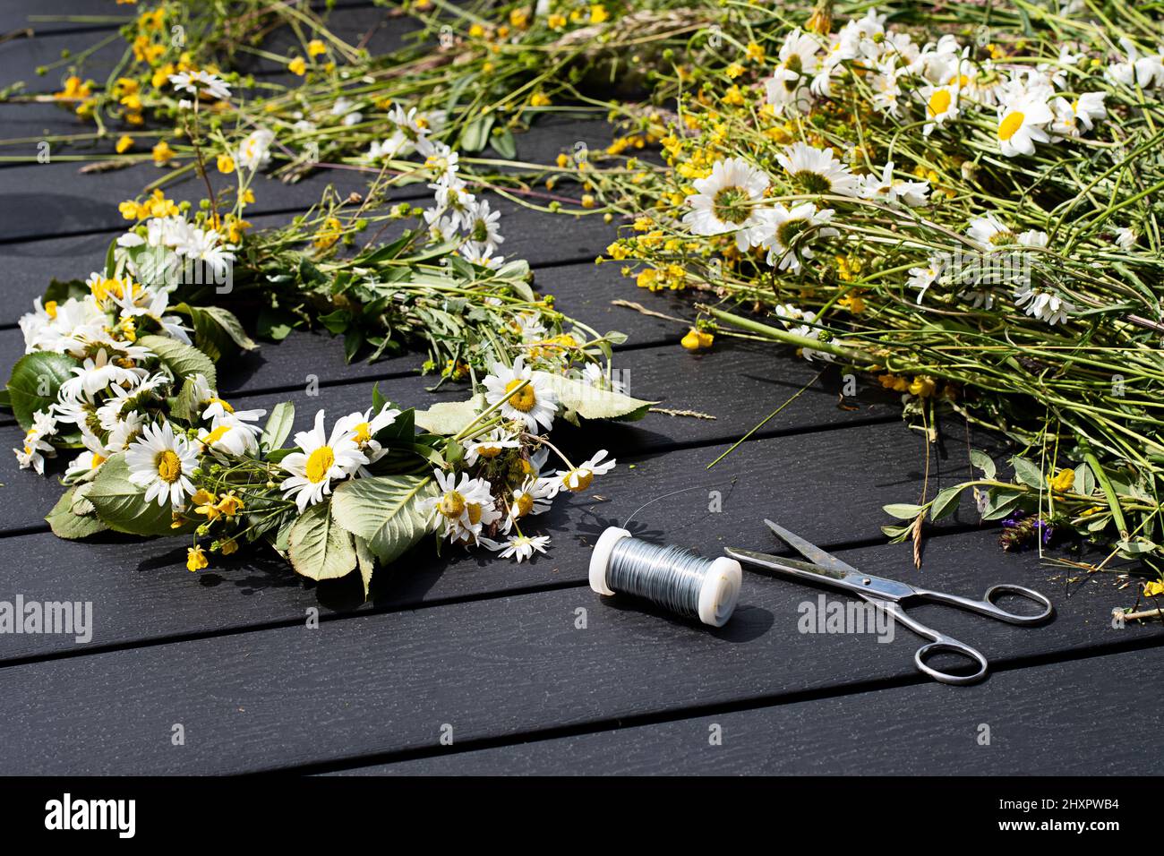 Creating traditional Swedish Midsummer flower crown using wild summer flowers, scissor and wire. Photo taken on Midsummer Eve in Sweden. Stock Photo