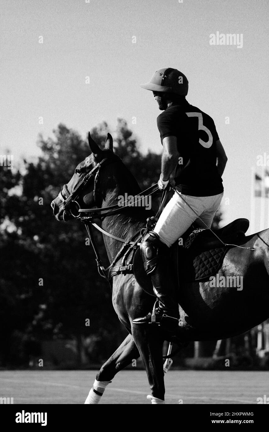 Polo Black and White Stock Photos Images Alamy