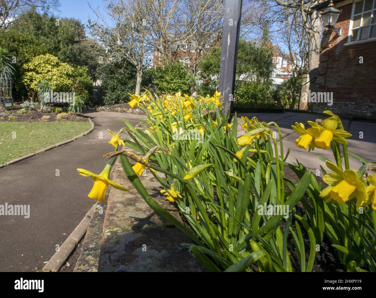 Sidmouth, 14th Mar 22 Pictured Parks and garden are filled with